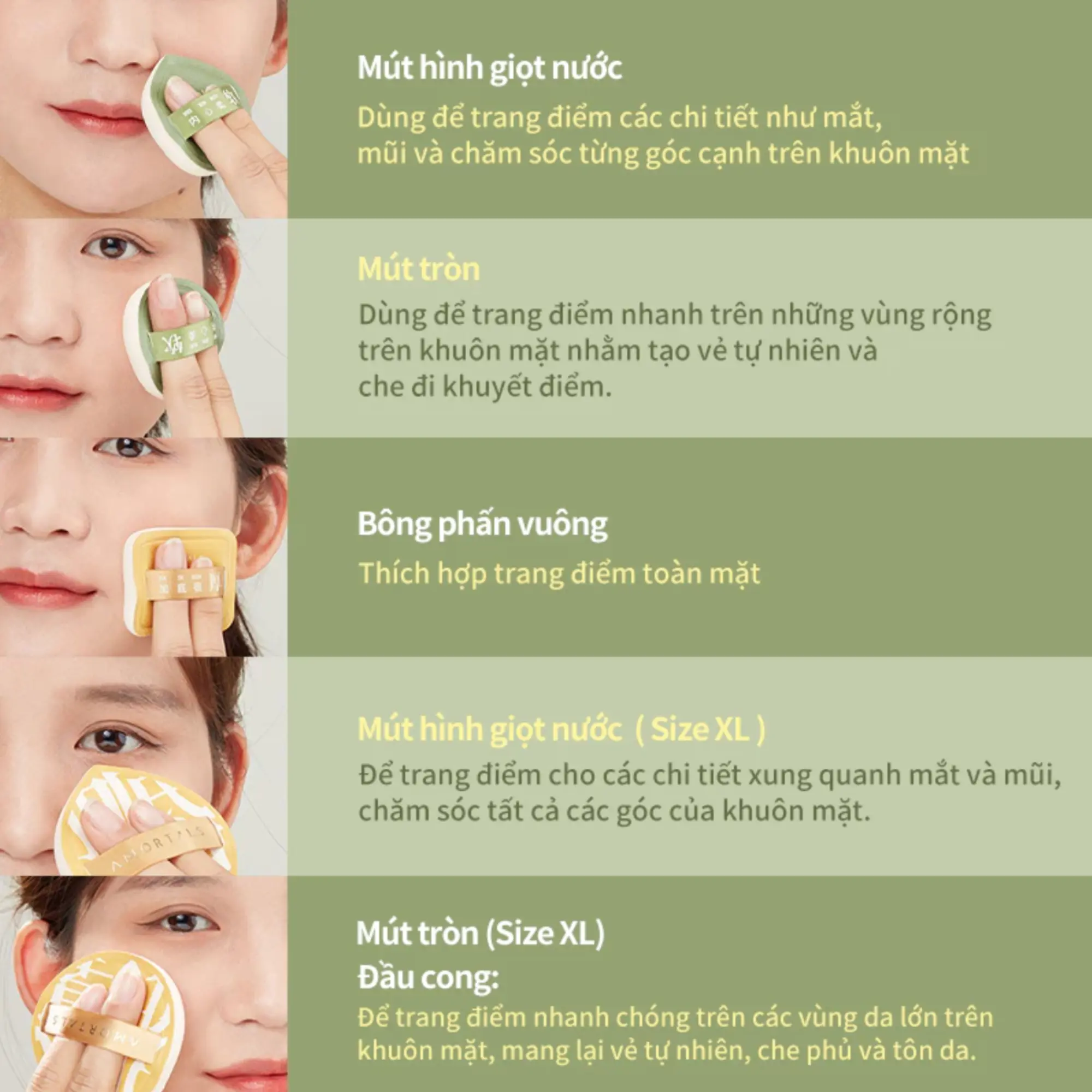 set bông mút Amortals