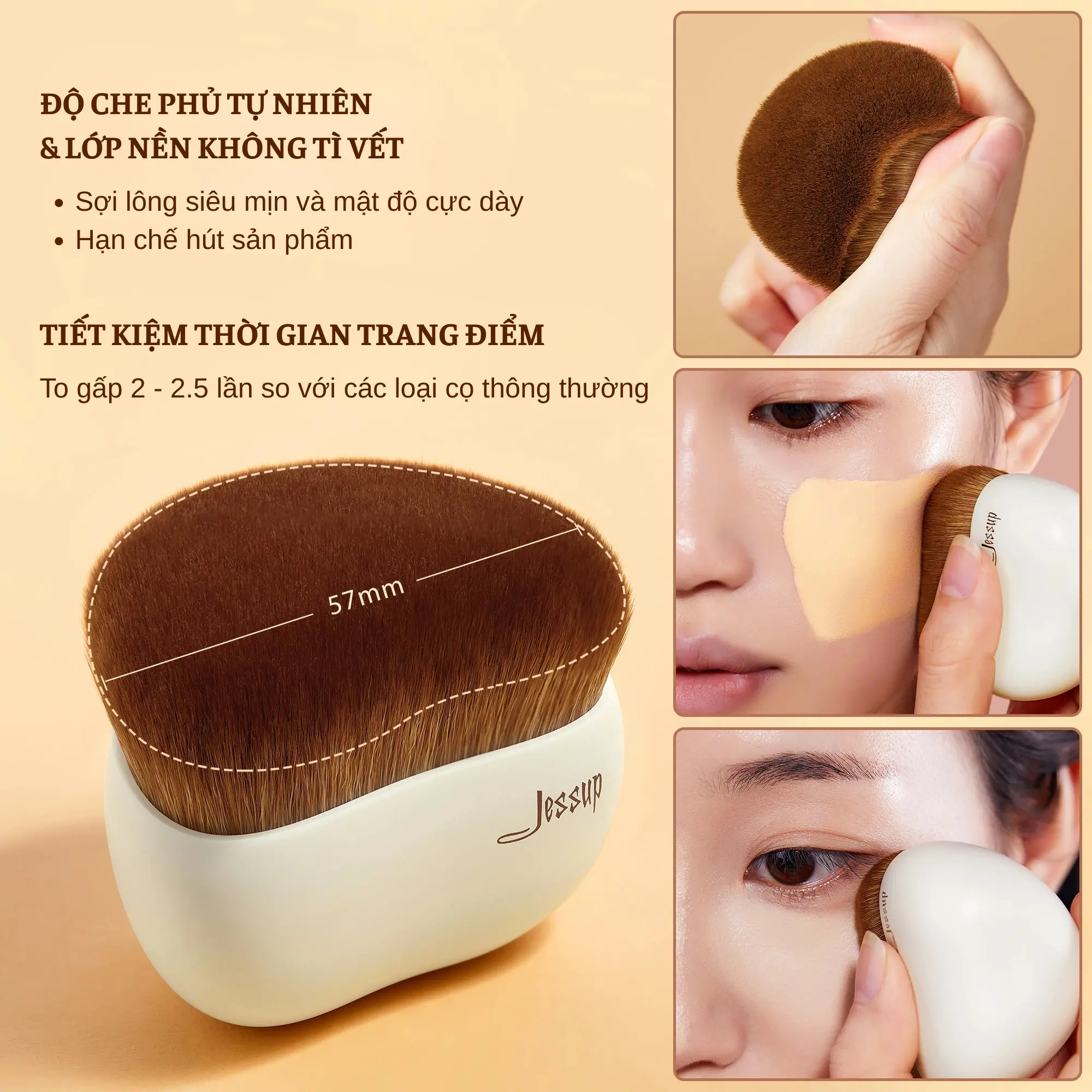 cọ tán nền Jessup