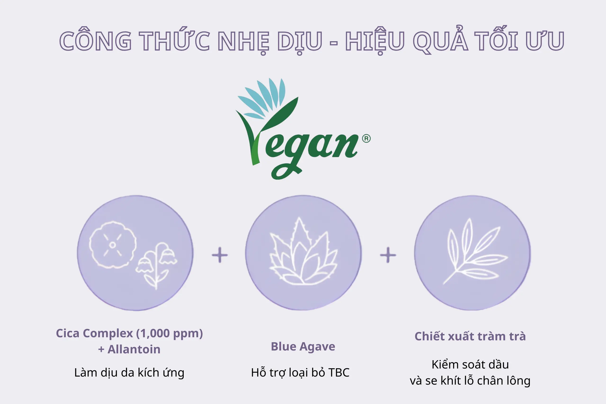 bao bì mới espoir