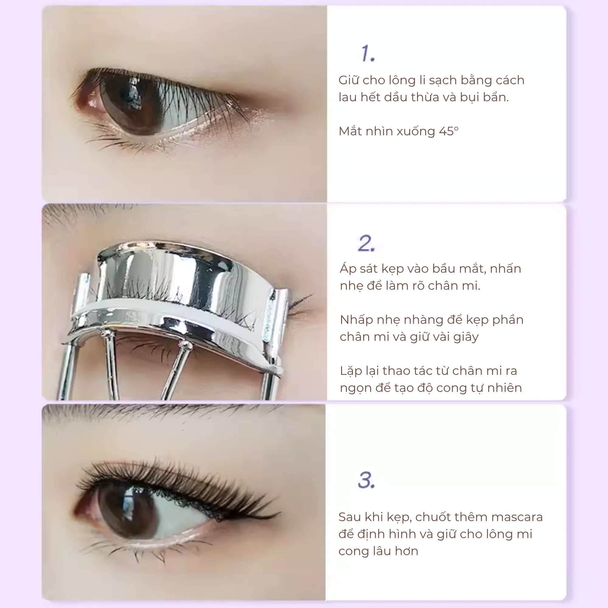 kẹp mi kim loại guoxiaoniu