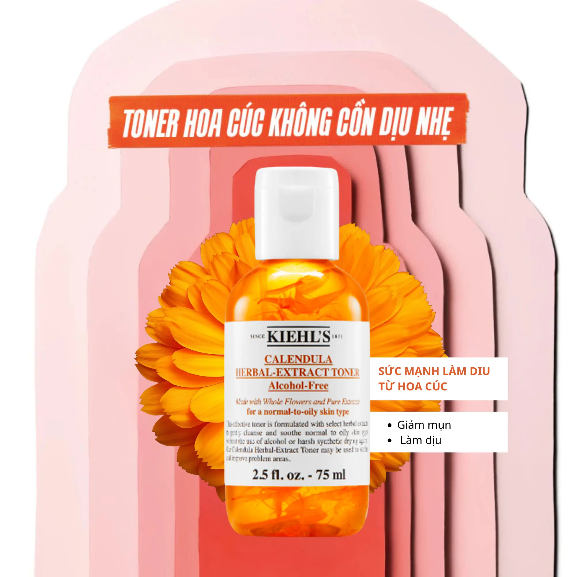 kiehls toner hoa cúc