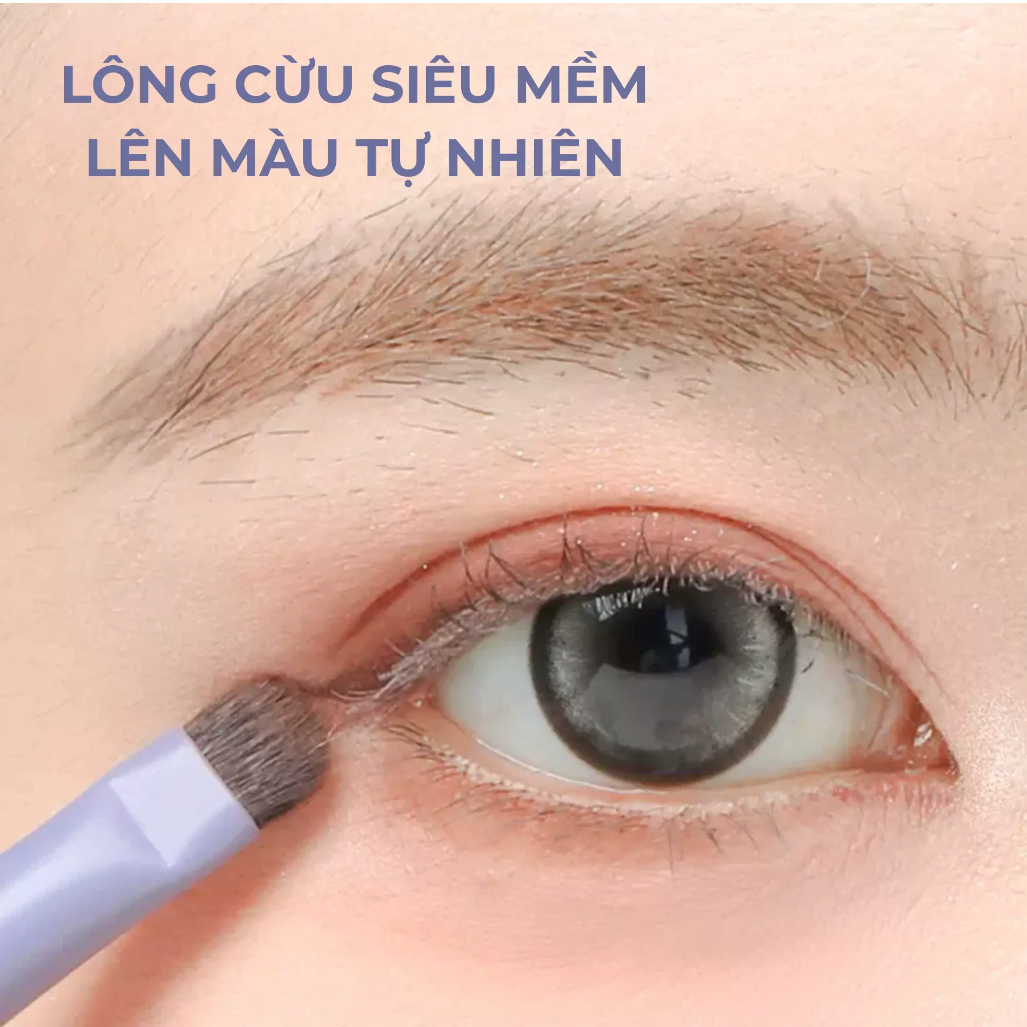 cọ nhấn mắt Guoxiaoniu t022