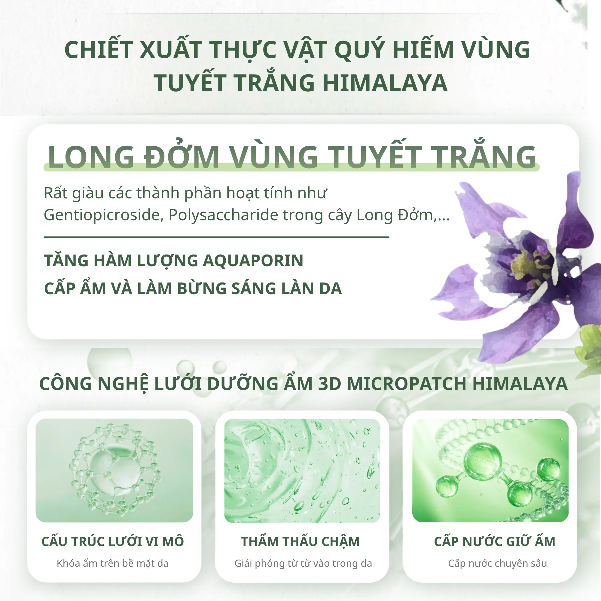 mặt nạ logn đởm Chando