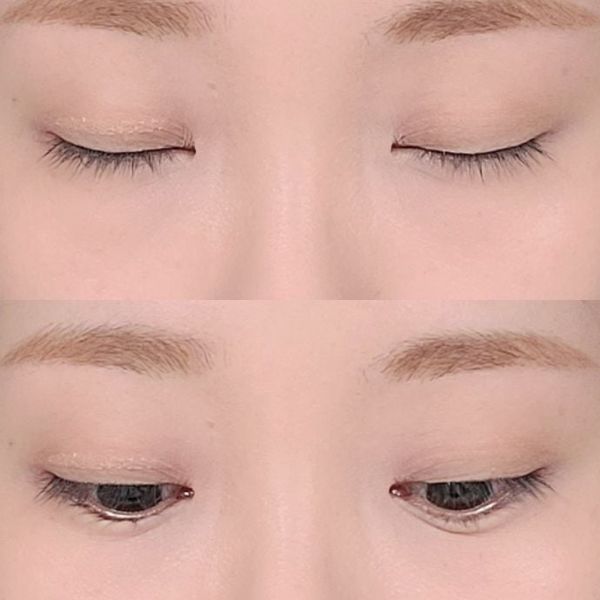 Dán Mí Lưới 60 Miếng Merina