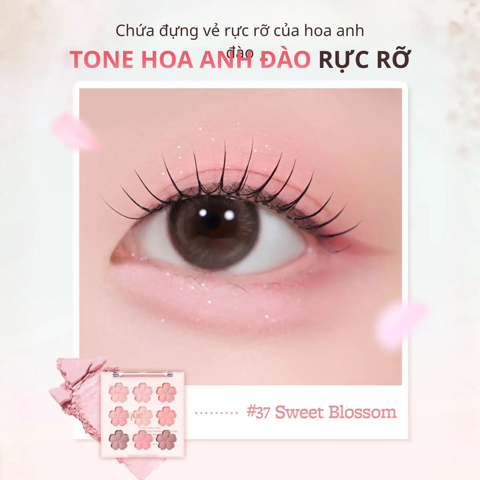 phấn mắt Dasique hoa anh đào