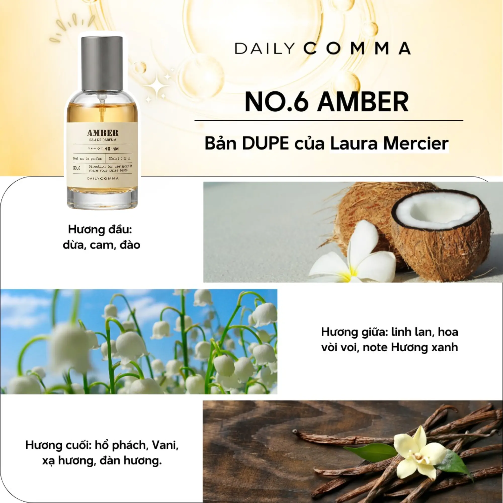 Nước Hoa Daily Comma Most Eau De Parfum