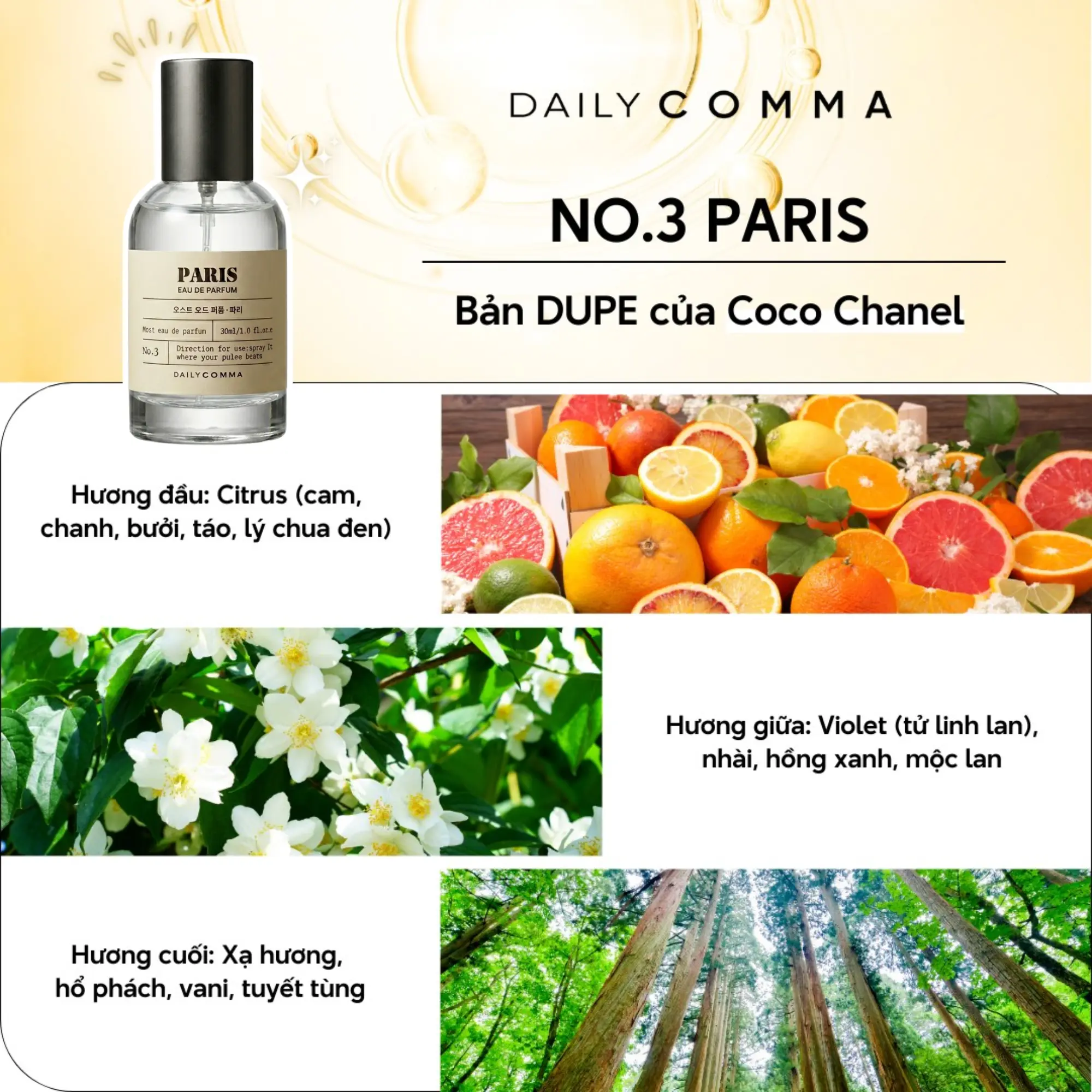Nước Hoa Daily Comma Most Eau De Parfum