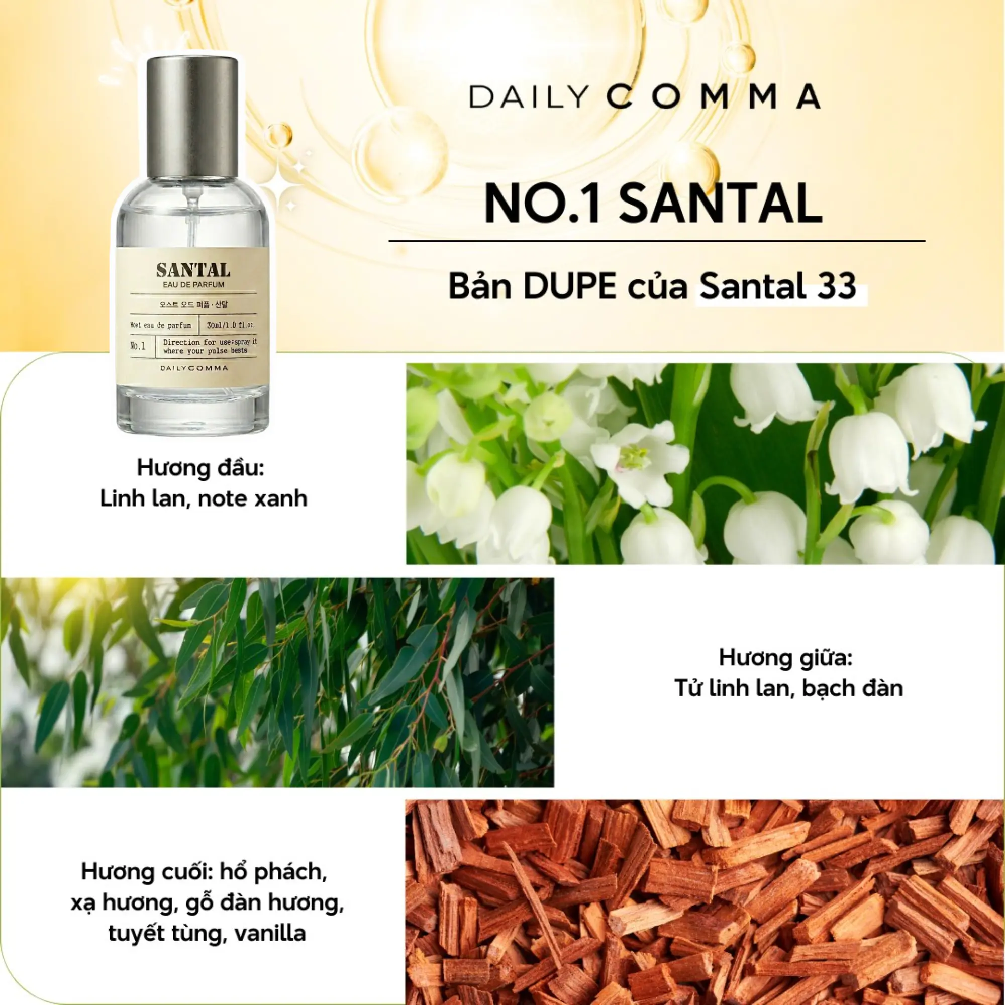 Nước Hoa Daily Comma Most Eau De Parfum
