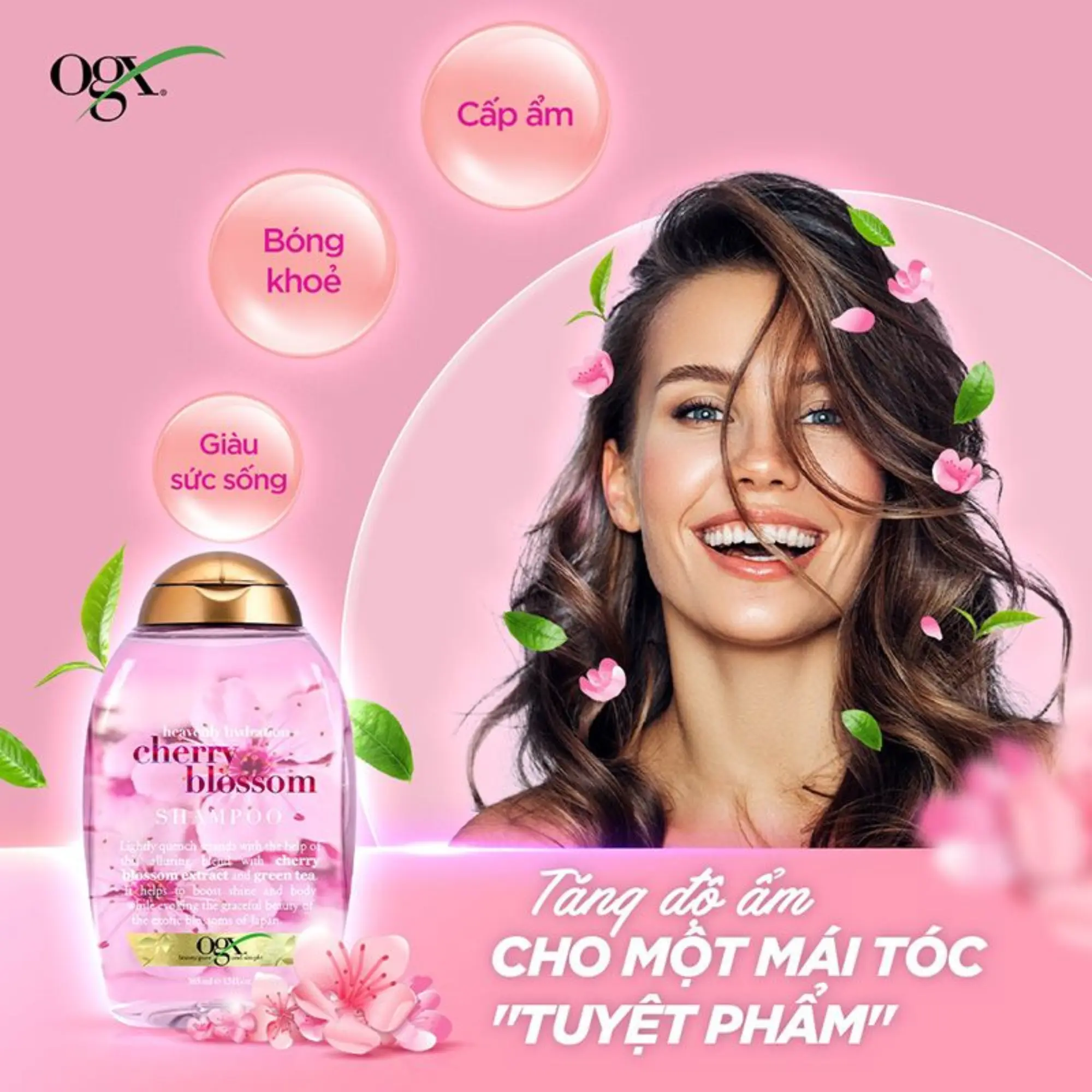 dầu gội anh đào ogx