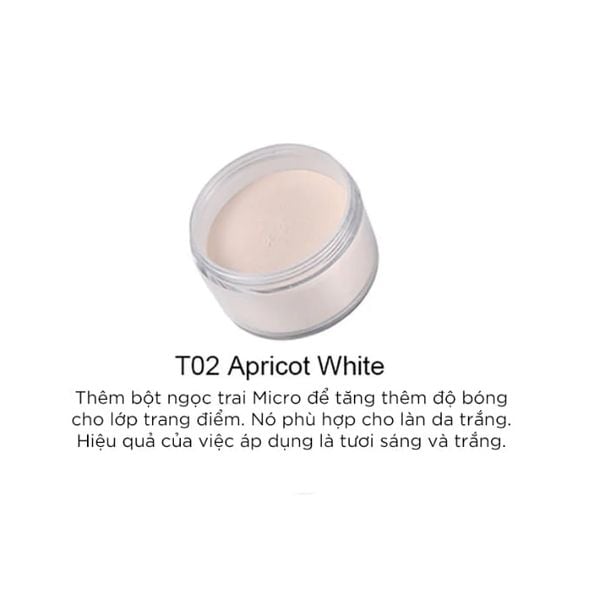 Phấn Phủ Artmiss Transparent Matte Powder