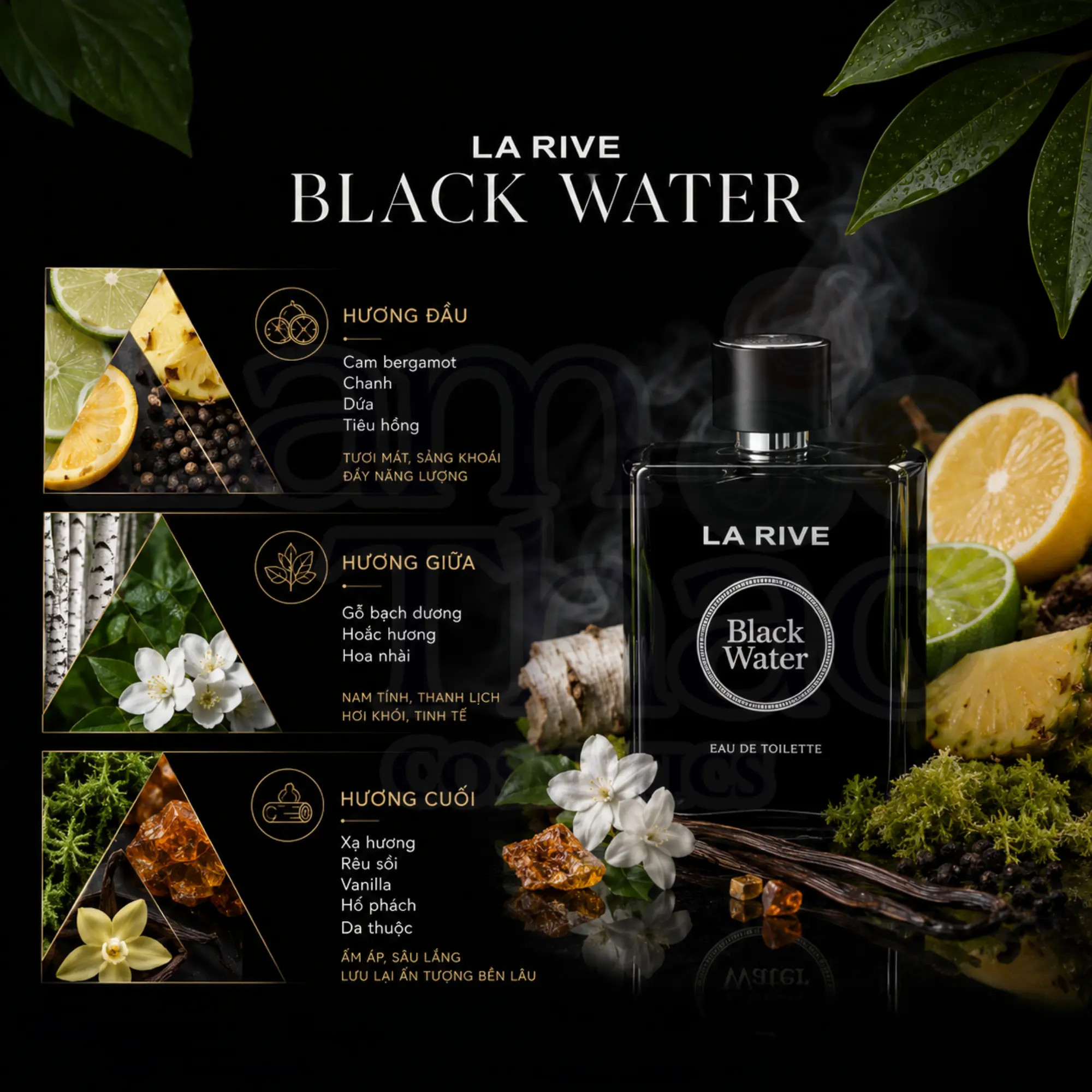 Nước Hoa La Rive Black Water EDT