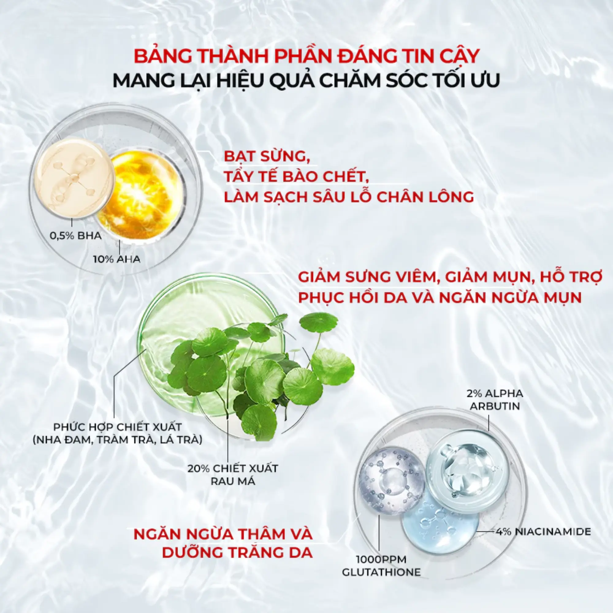xịt mụn lưng Angel's Liquid