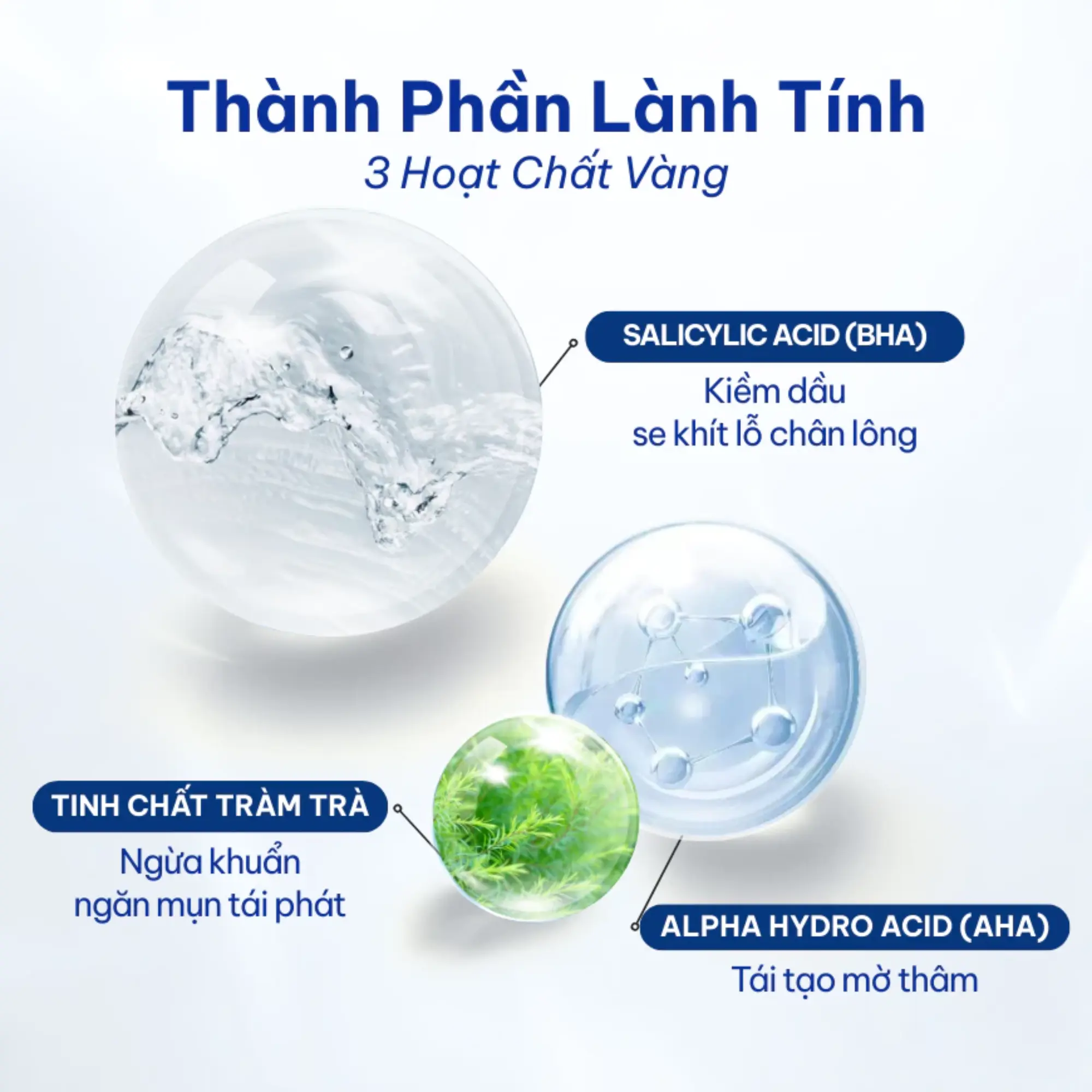 Compliment serum BHA