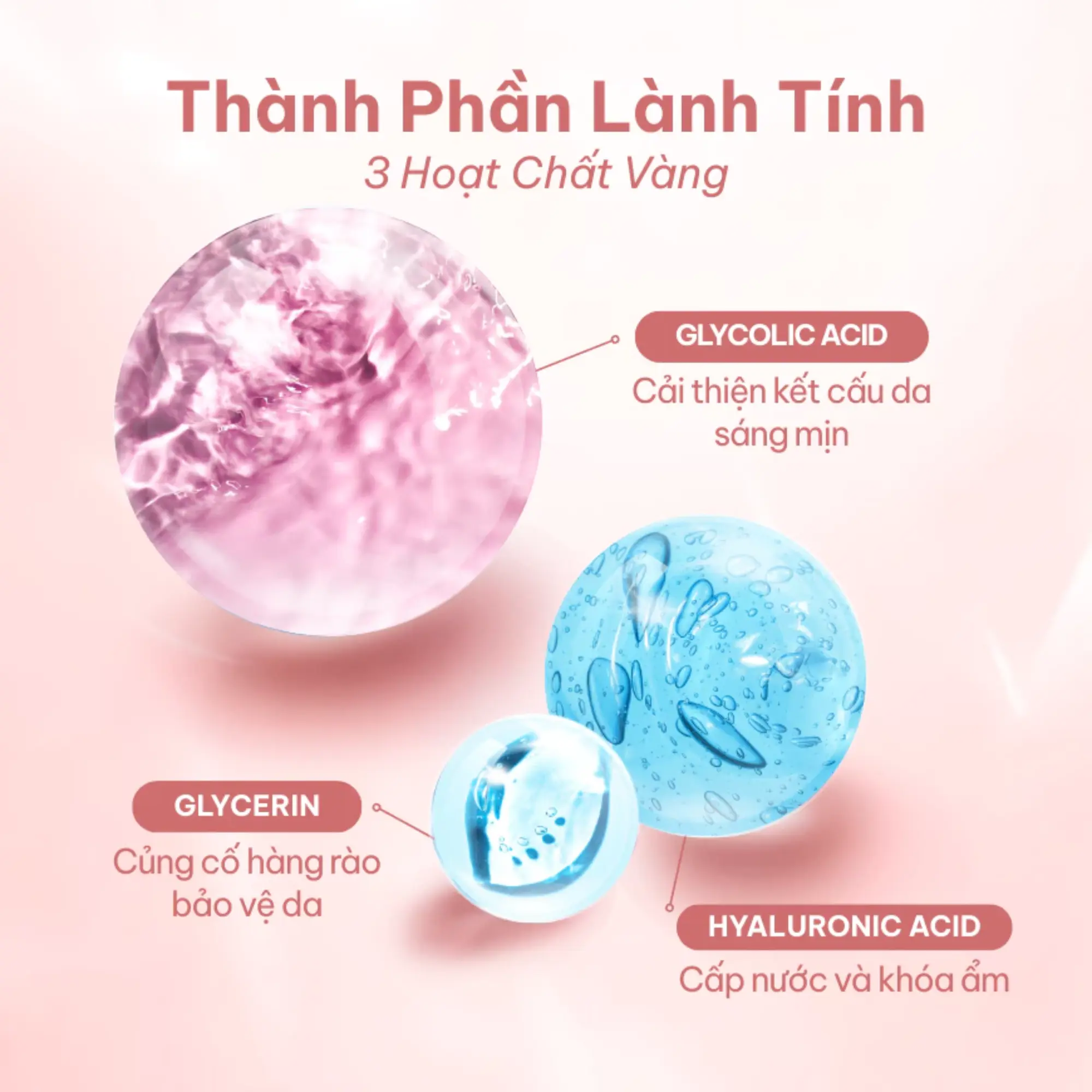 sữa rửa mặt Compliment