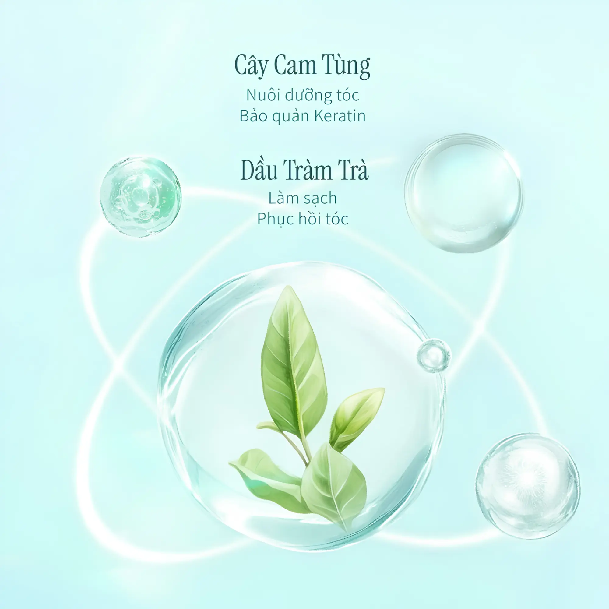 dầu gội sạch gàu giảm ngứa chando