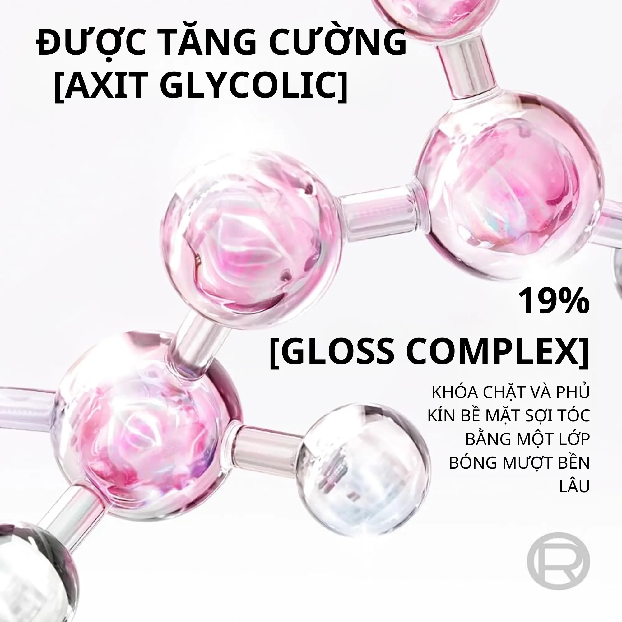 dầu gội Loreal hồng