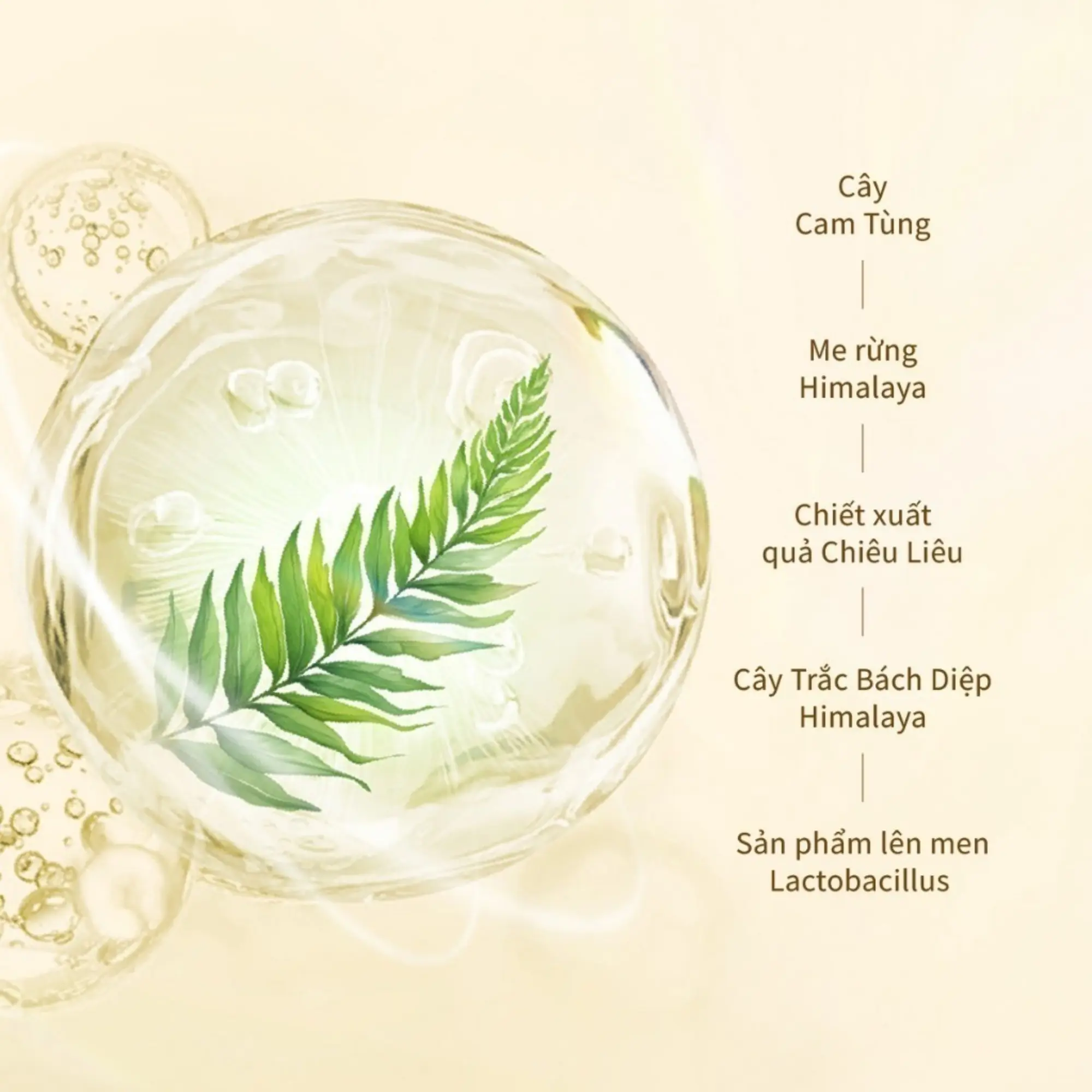 dầu xả kiềm dầu Chando