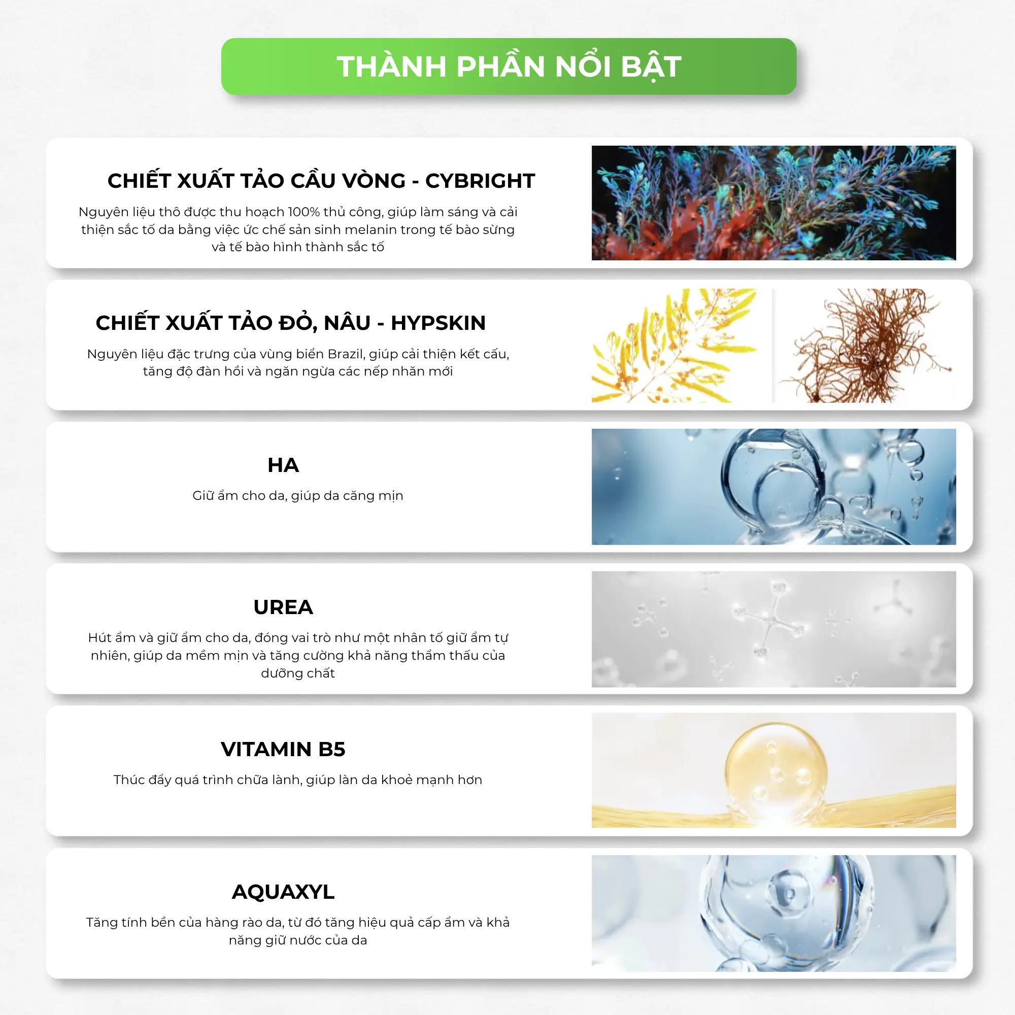 nước dưỡng Zakka