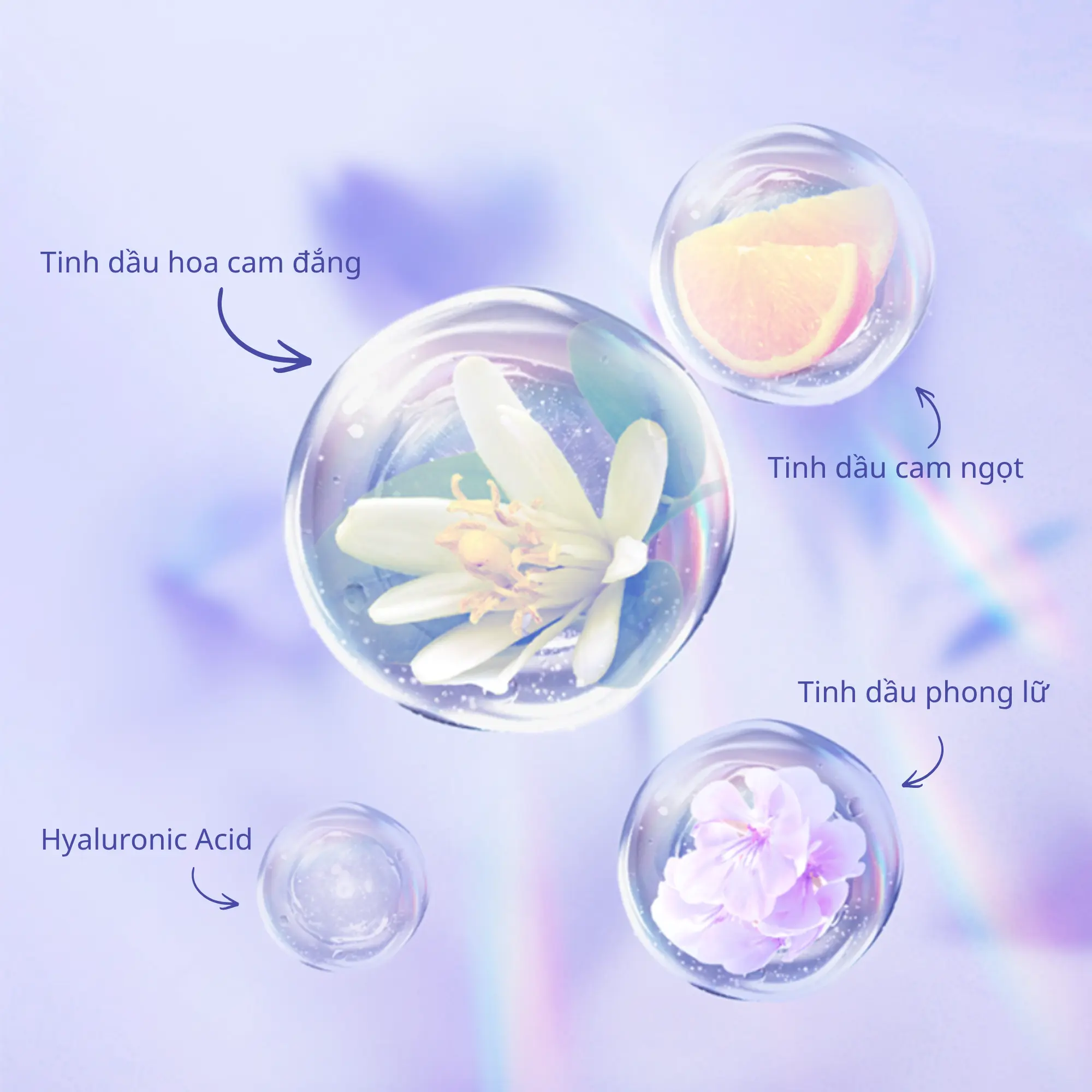 dưỡng thể dưỡng ẩm Chando