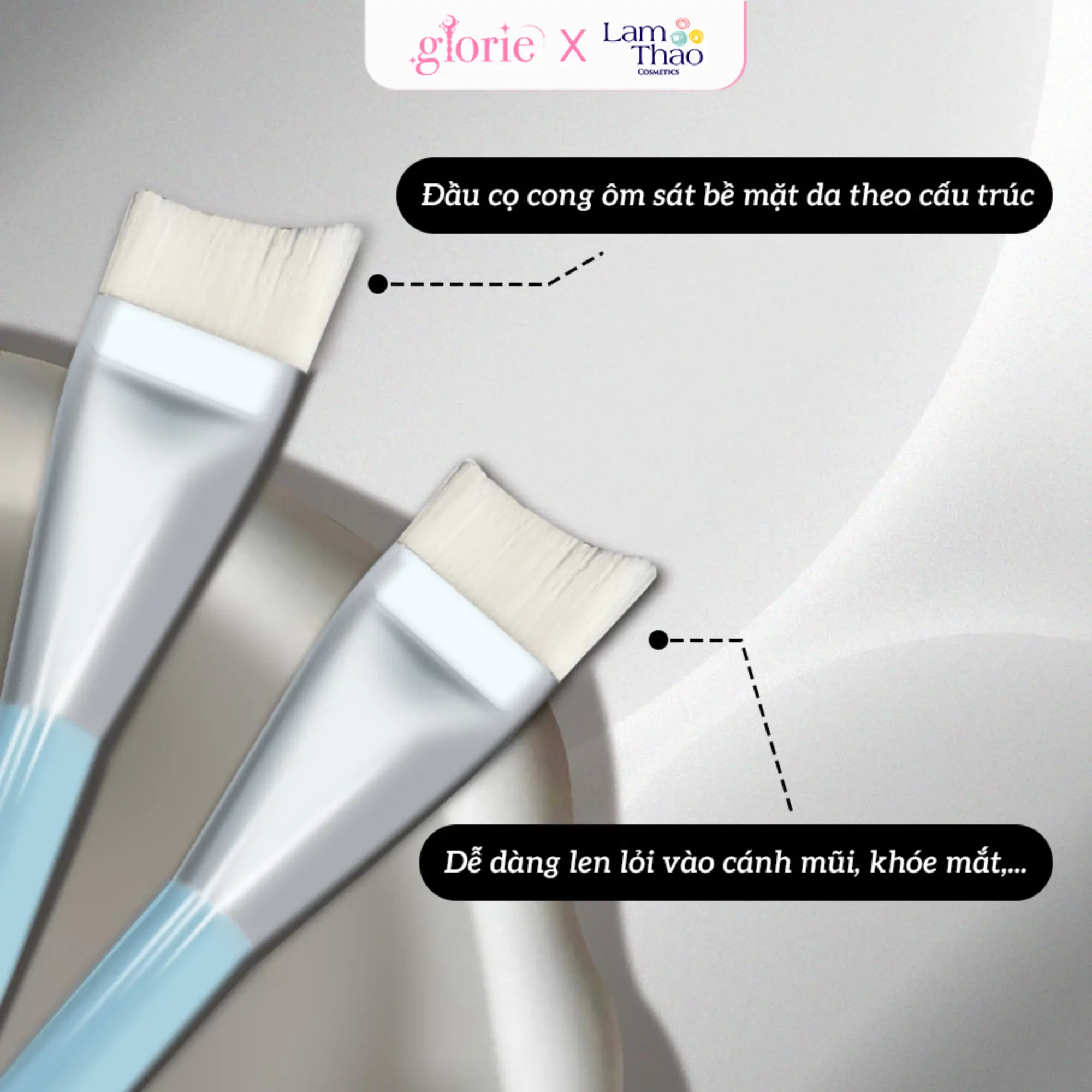 cọ tán nền xanh Glorie
