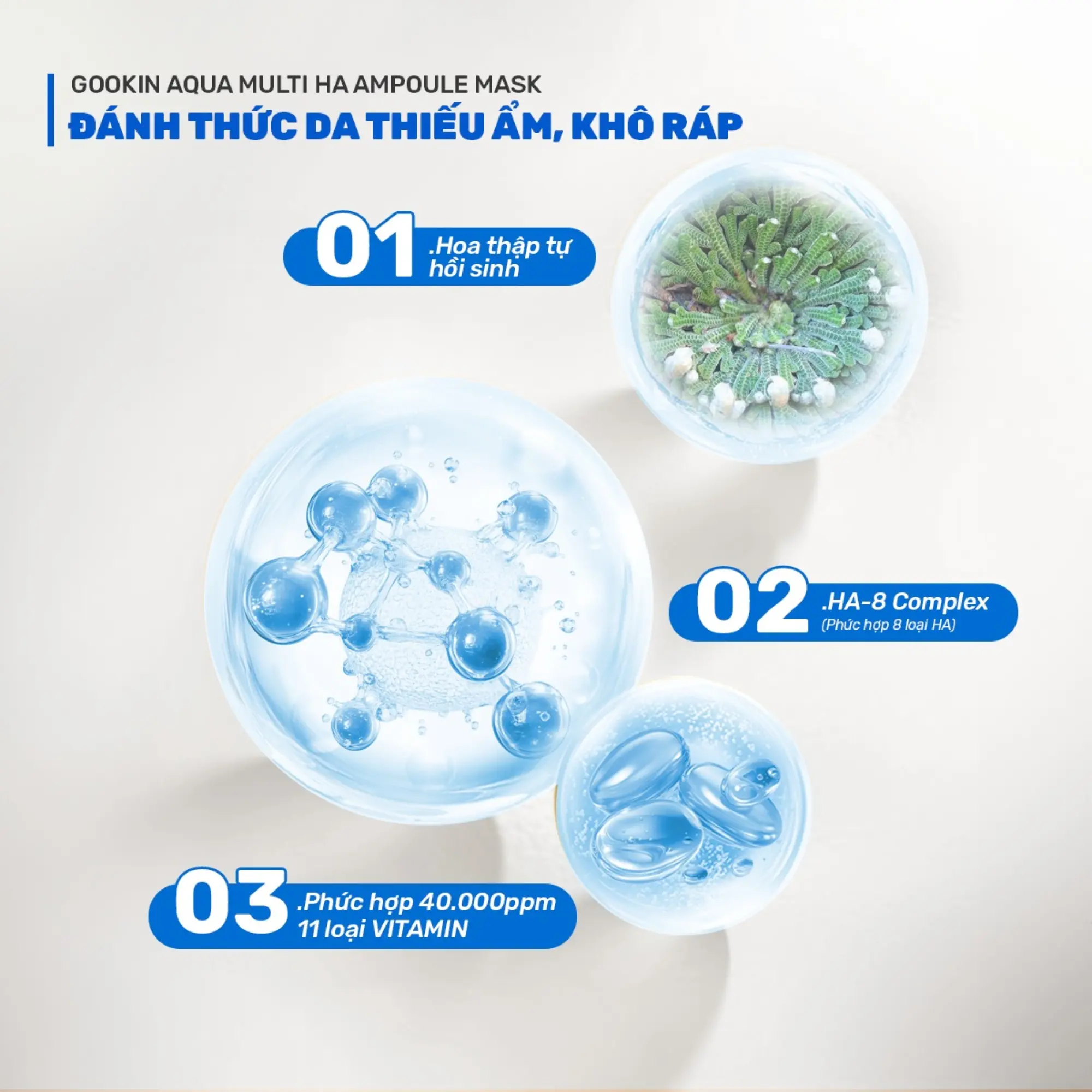 mặt nạ cấp nước Gookin