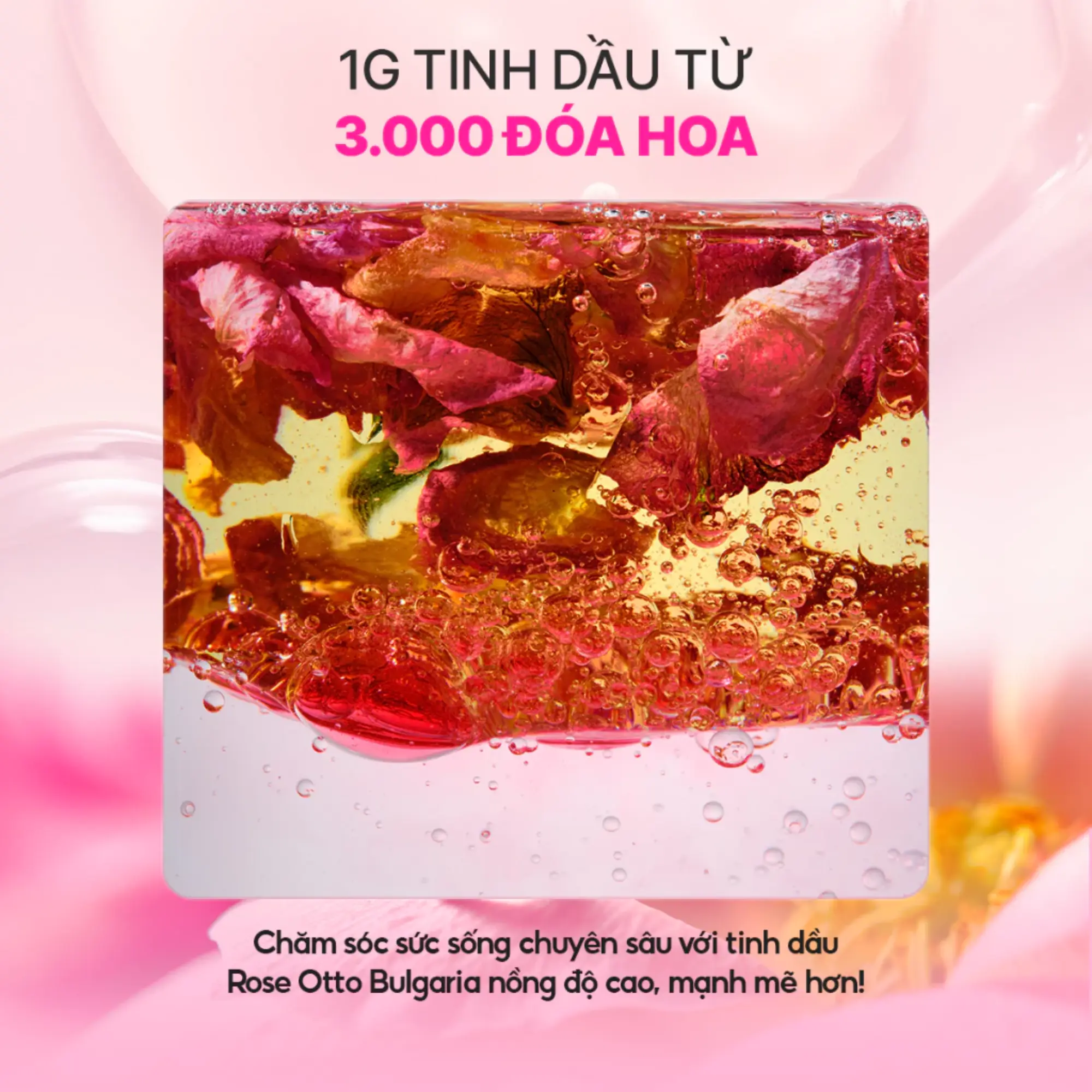 kem dưỡng ISOI
