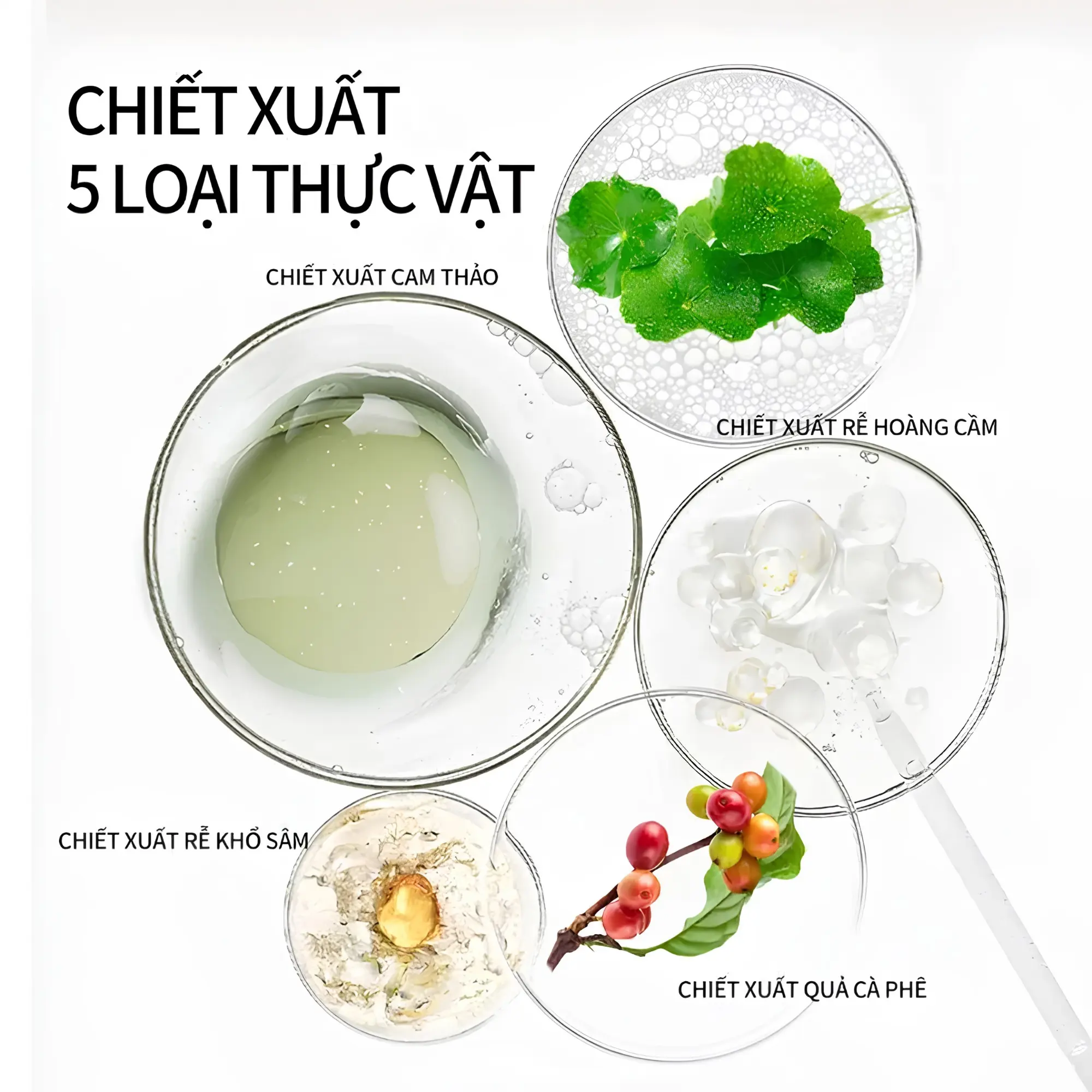 kem lót jejo