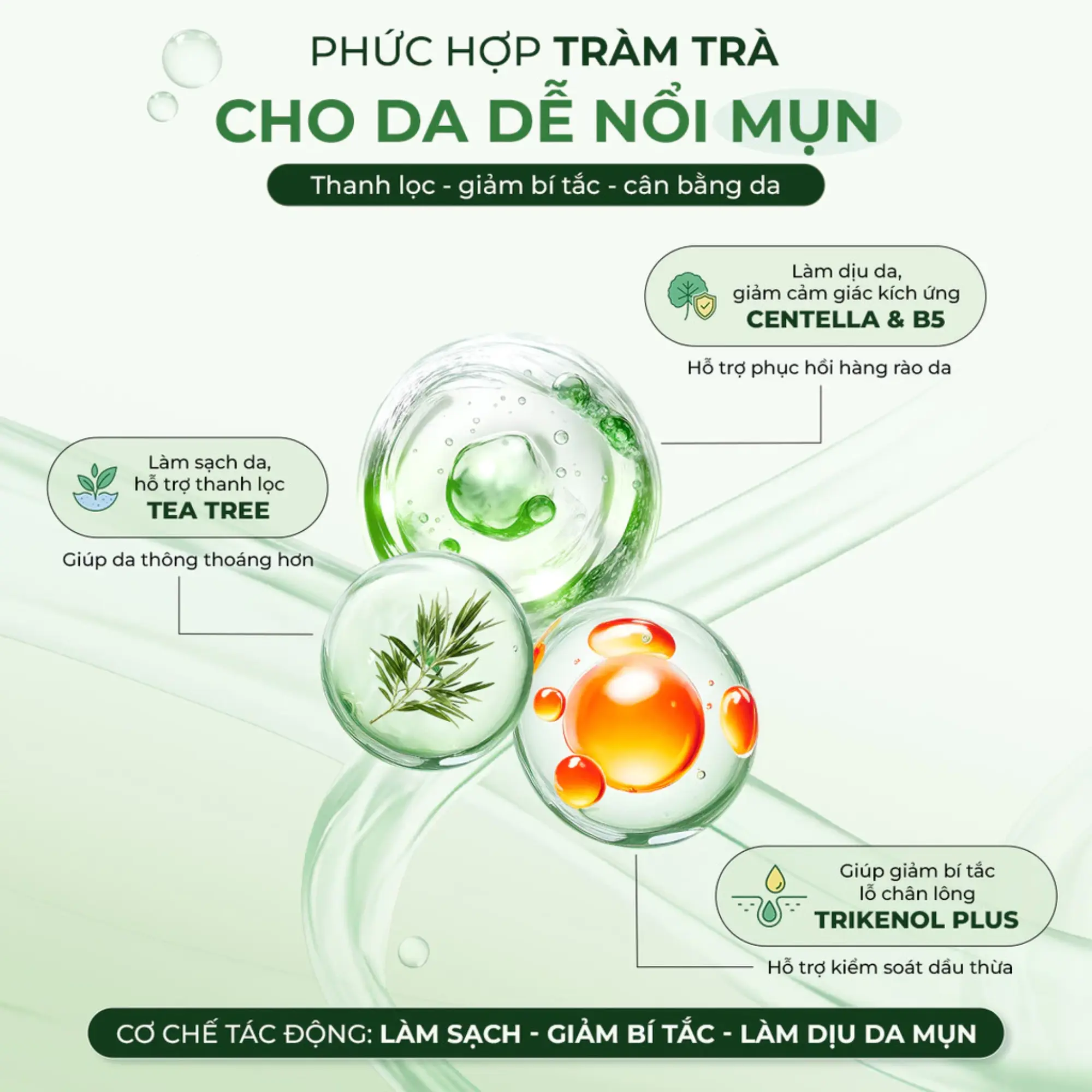 keyhu mặt nạ tràm trà