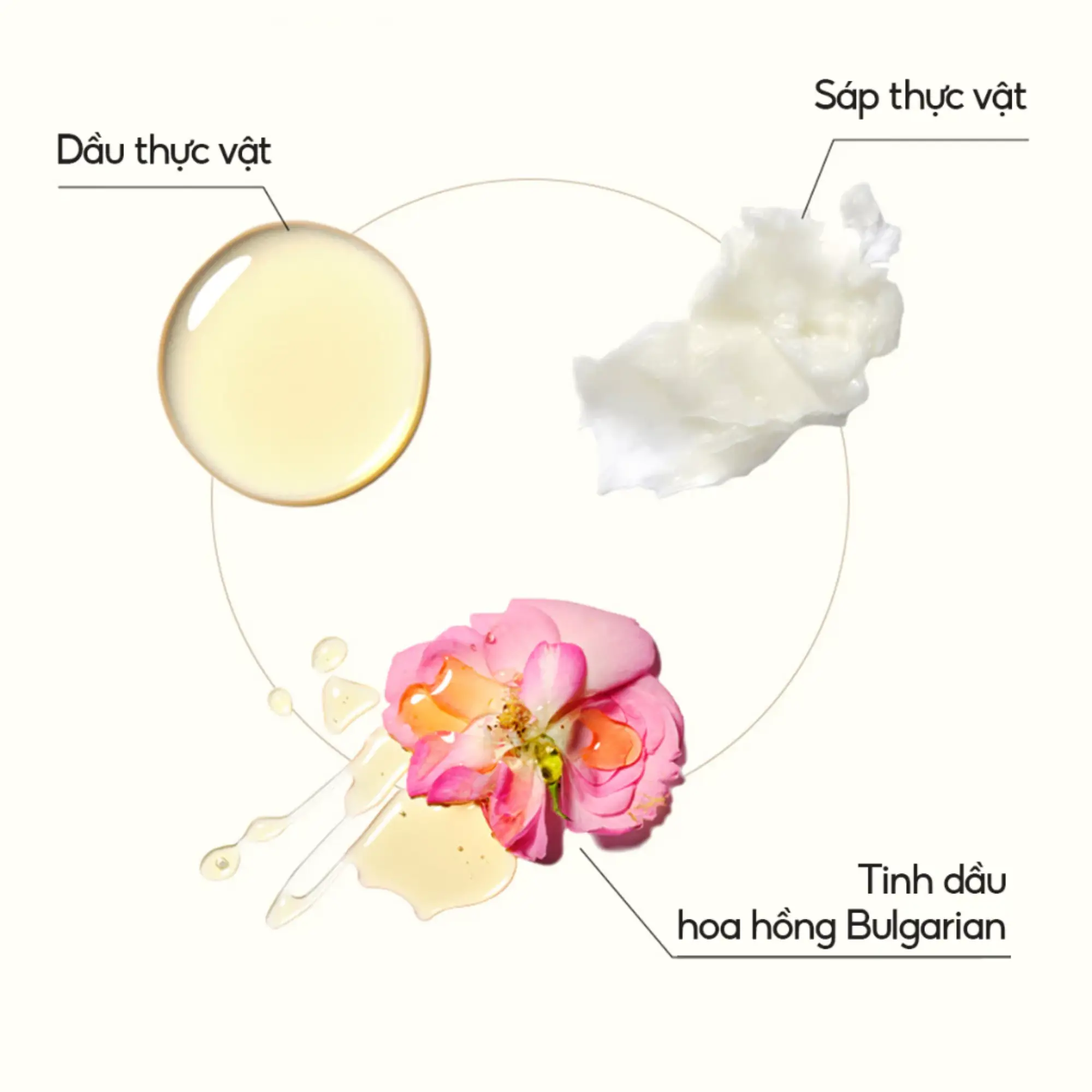 son dưỡng ISOI
