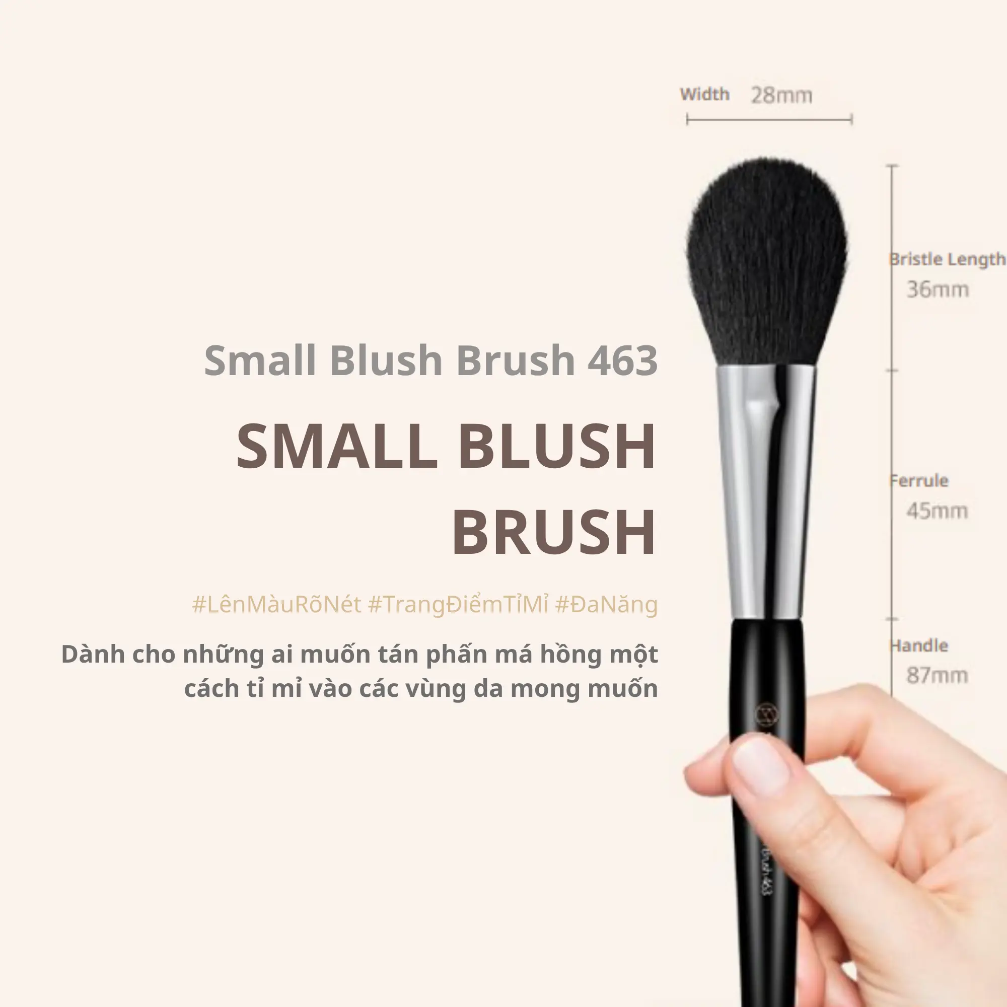 cọ má hồng 463 studio17