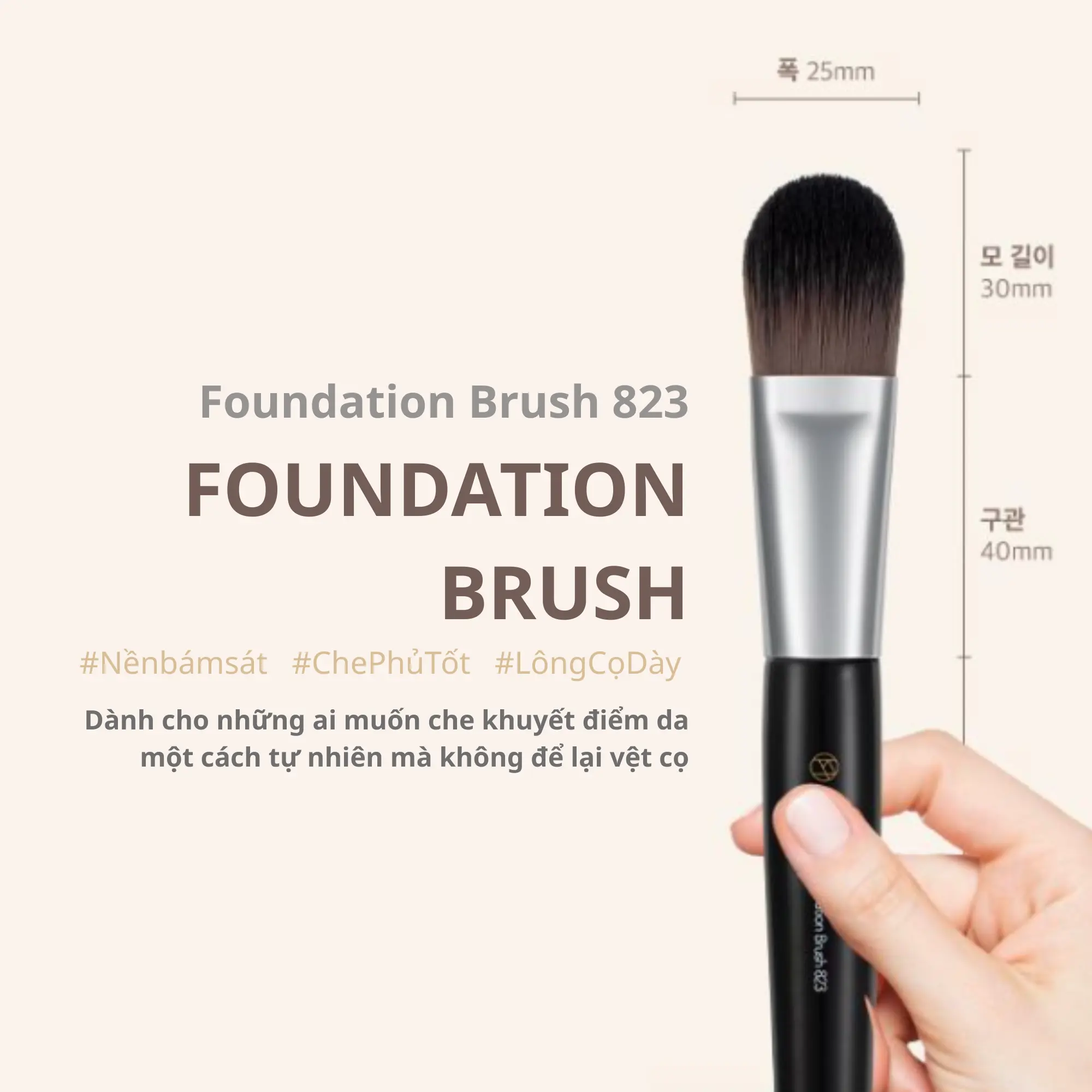 cọ tán nền 823 studio17