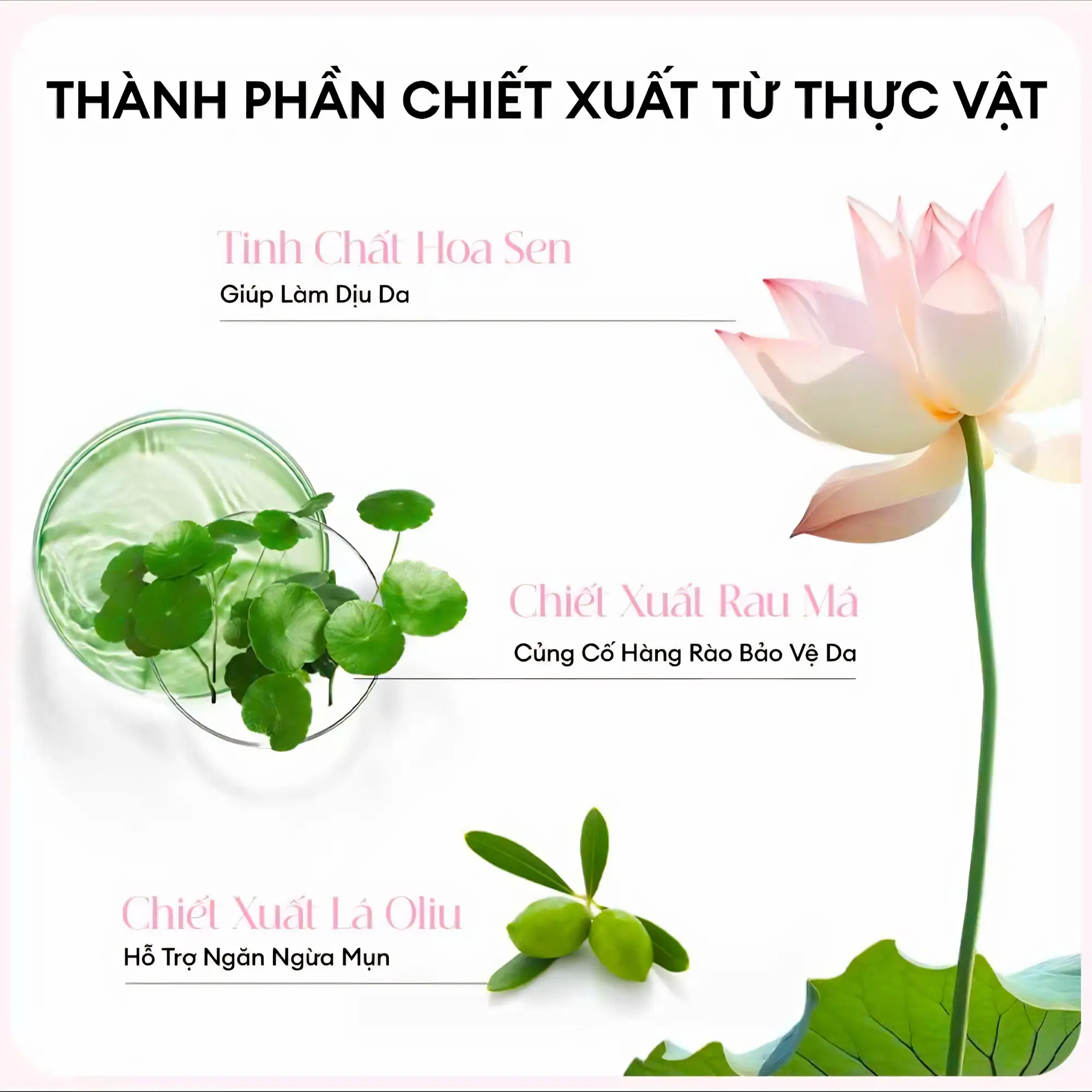 sữa rửa mặt colorkey