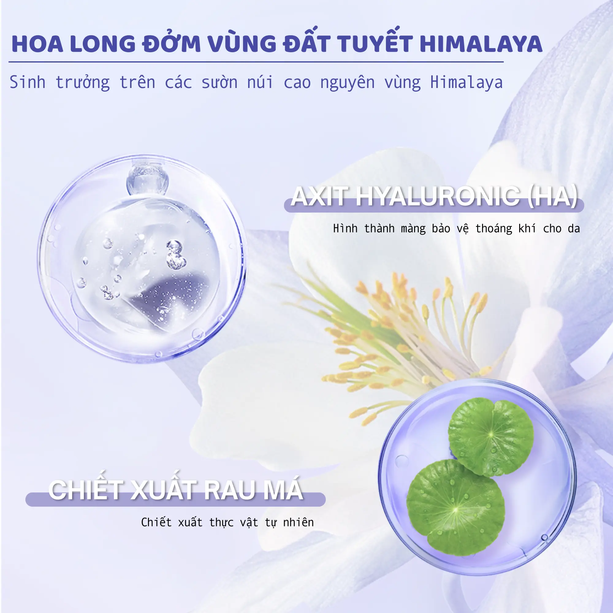 sữa tắm dưỡng ẩm Chando