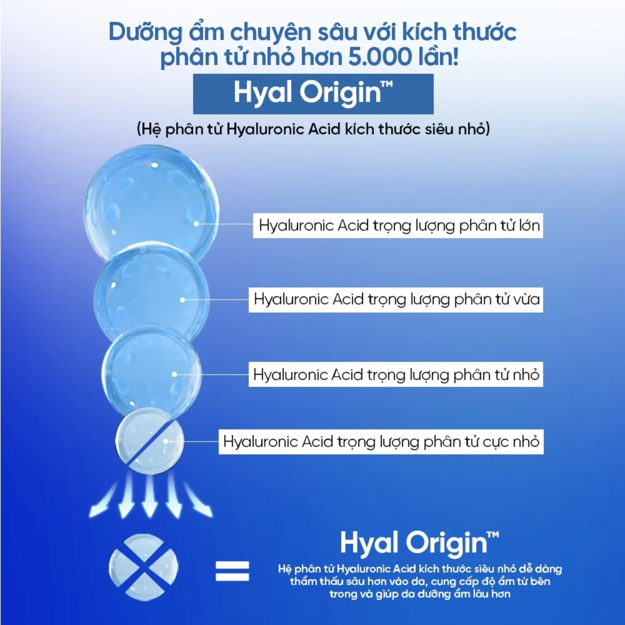 nước hoa hồng The Lab