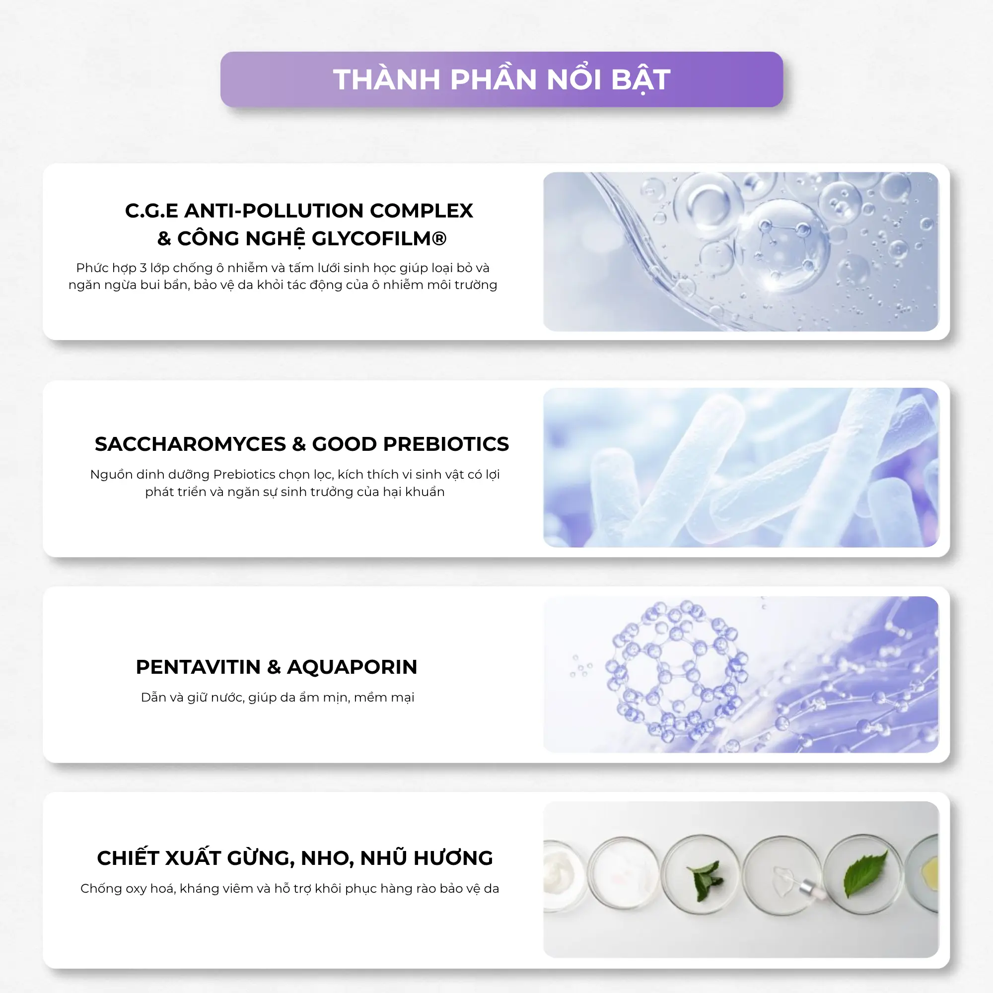 toner lợi khuẩn Zakka