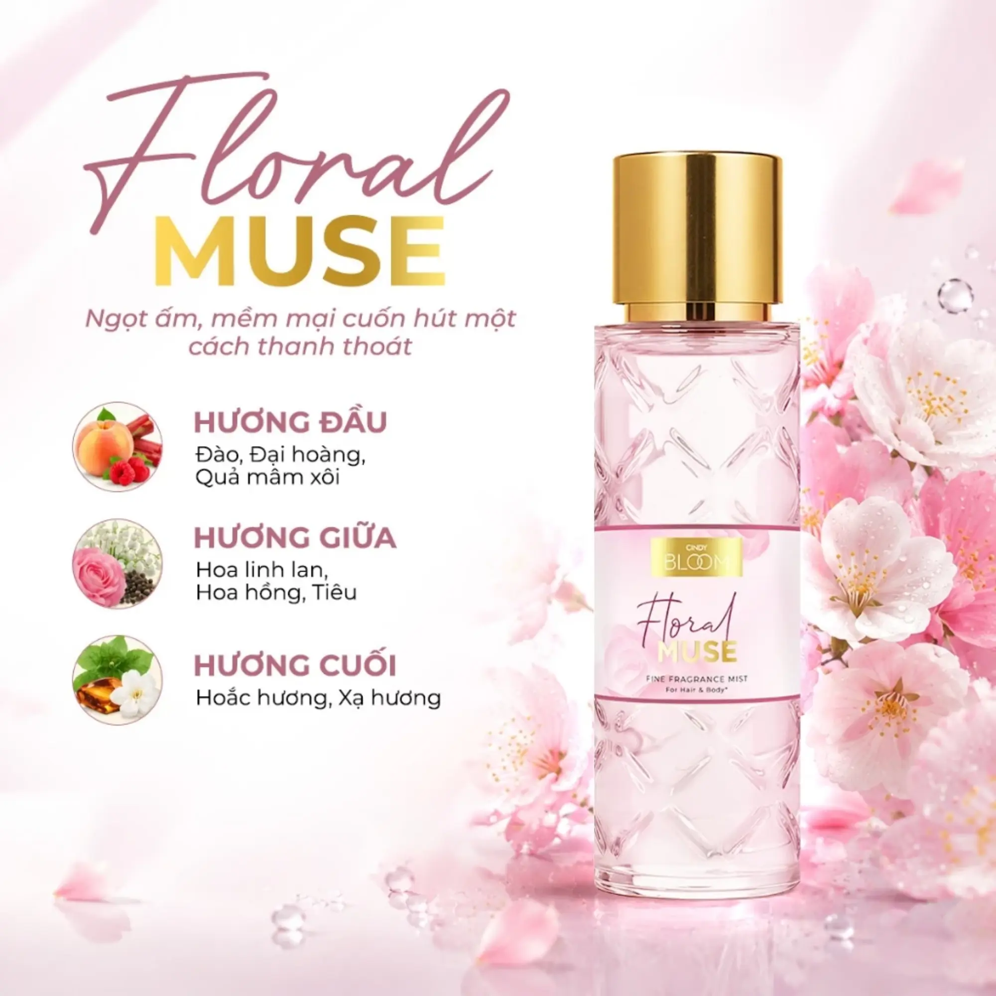 xịt thơm cơ thể và tóc cindy bloom