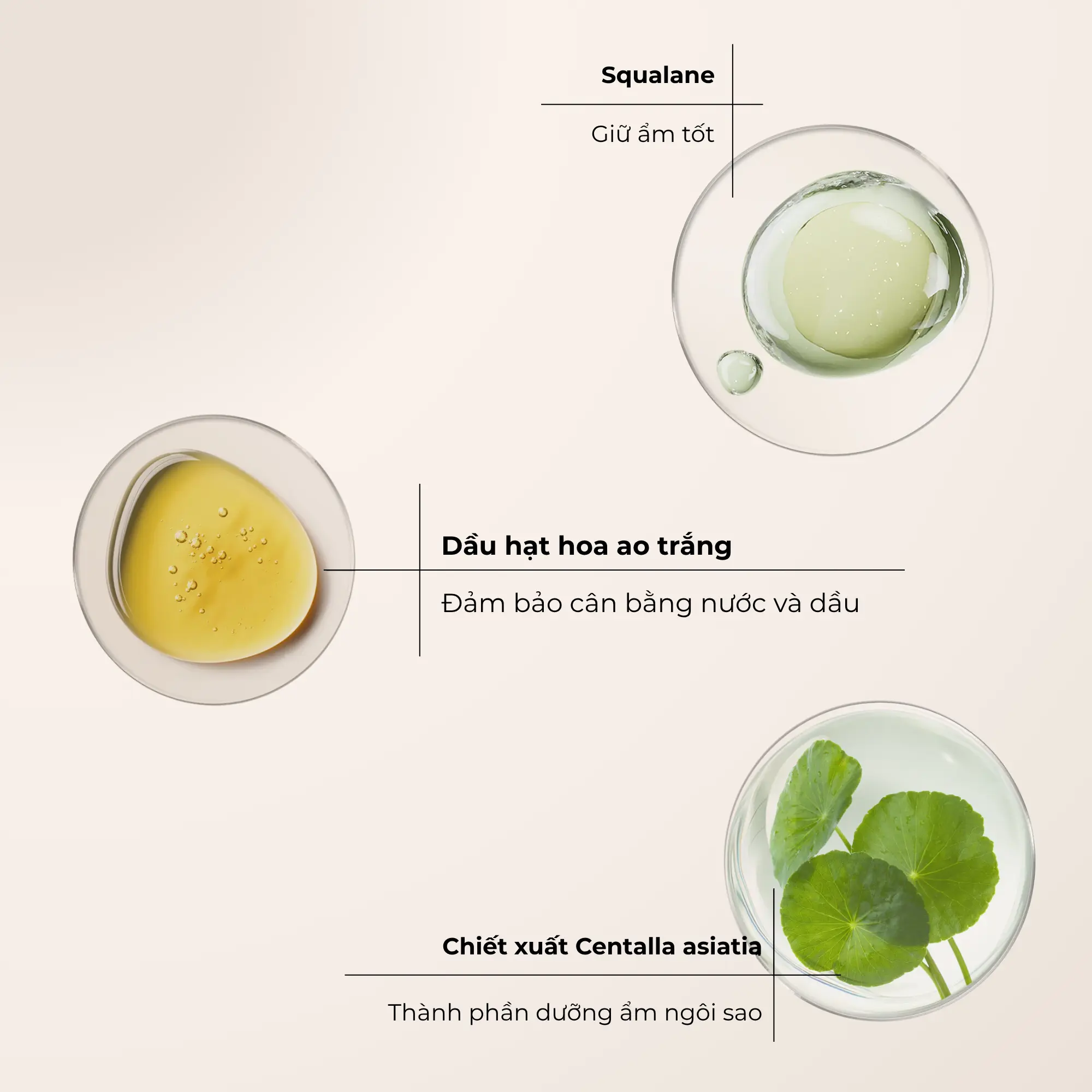 bảng tạo khối mooekiss