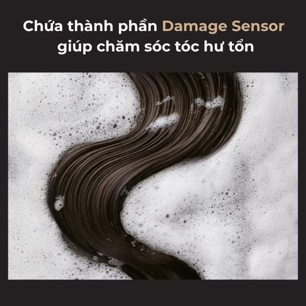 Dầu Gội Phục Hồi Chuyên Sâu Tsubaki Premium Ex Damage Care & Repair Shampoo