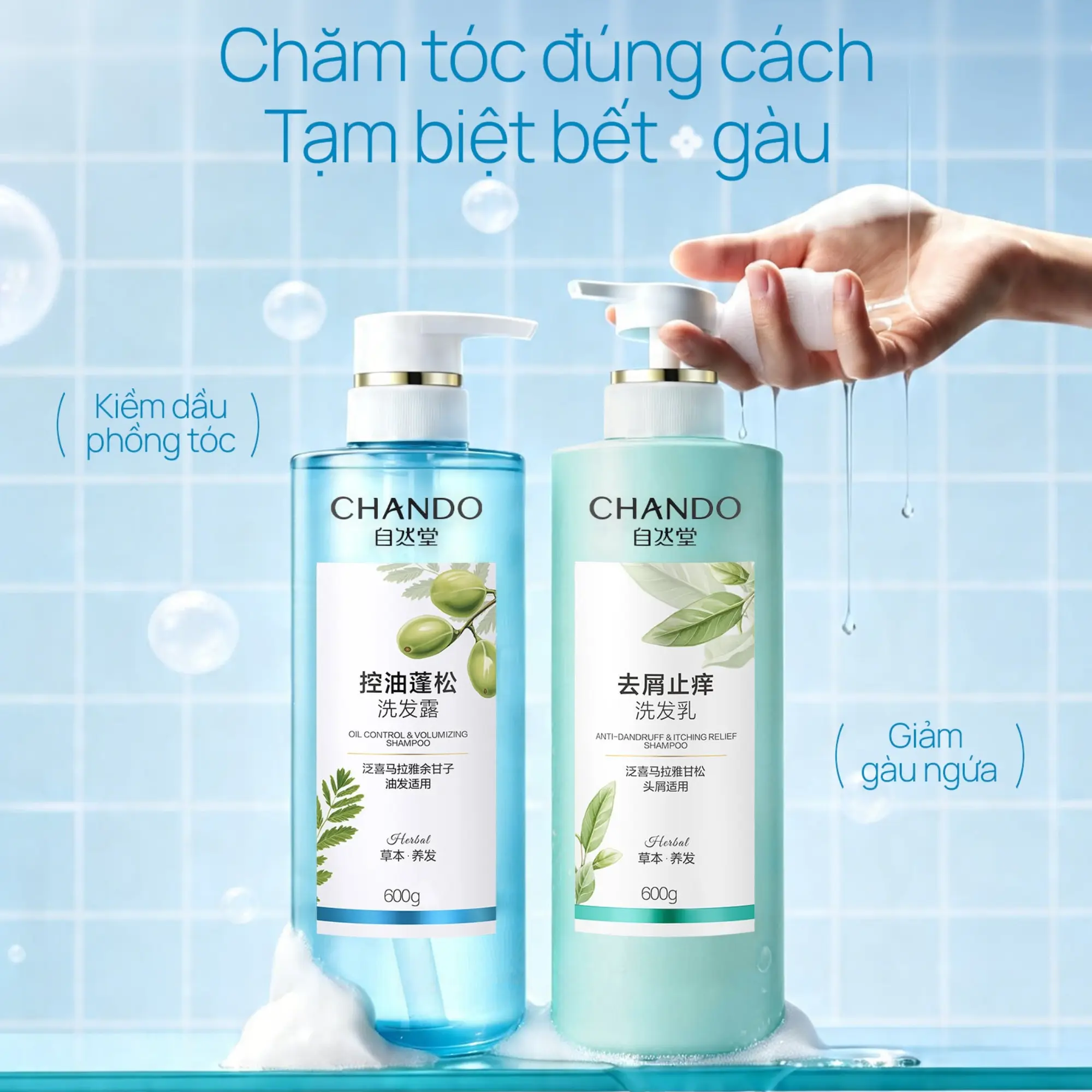 dầu gội sạch gàu giảm ngứa chando