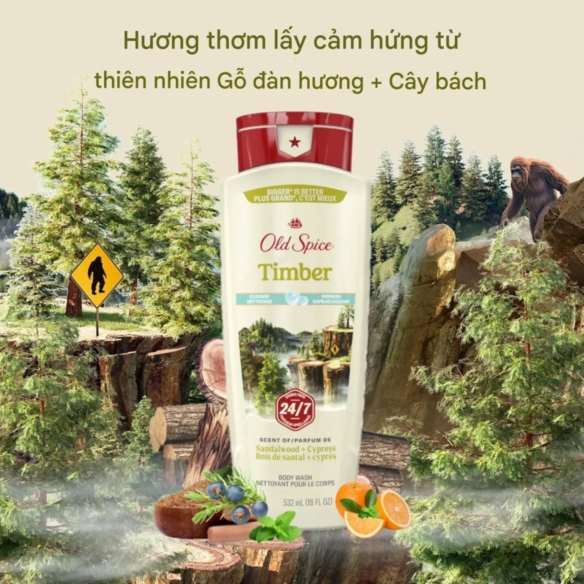 Sữa Tắm Nam Old Spice Timber