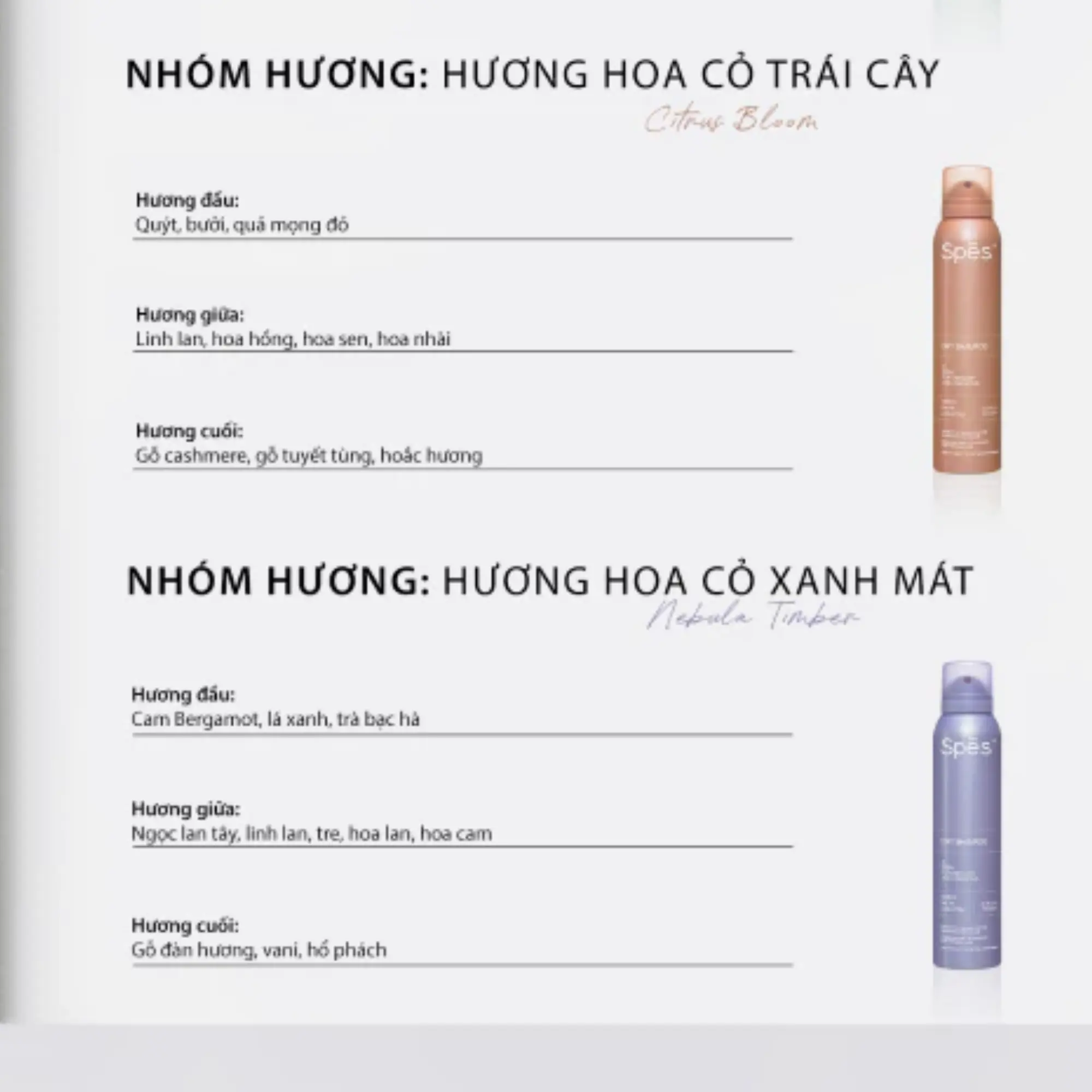 dầu gội khô 