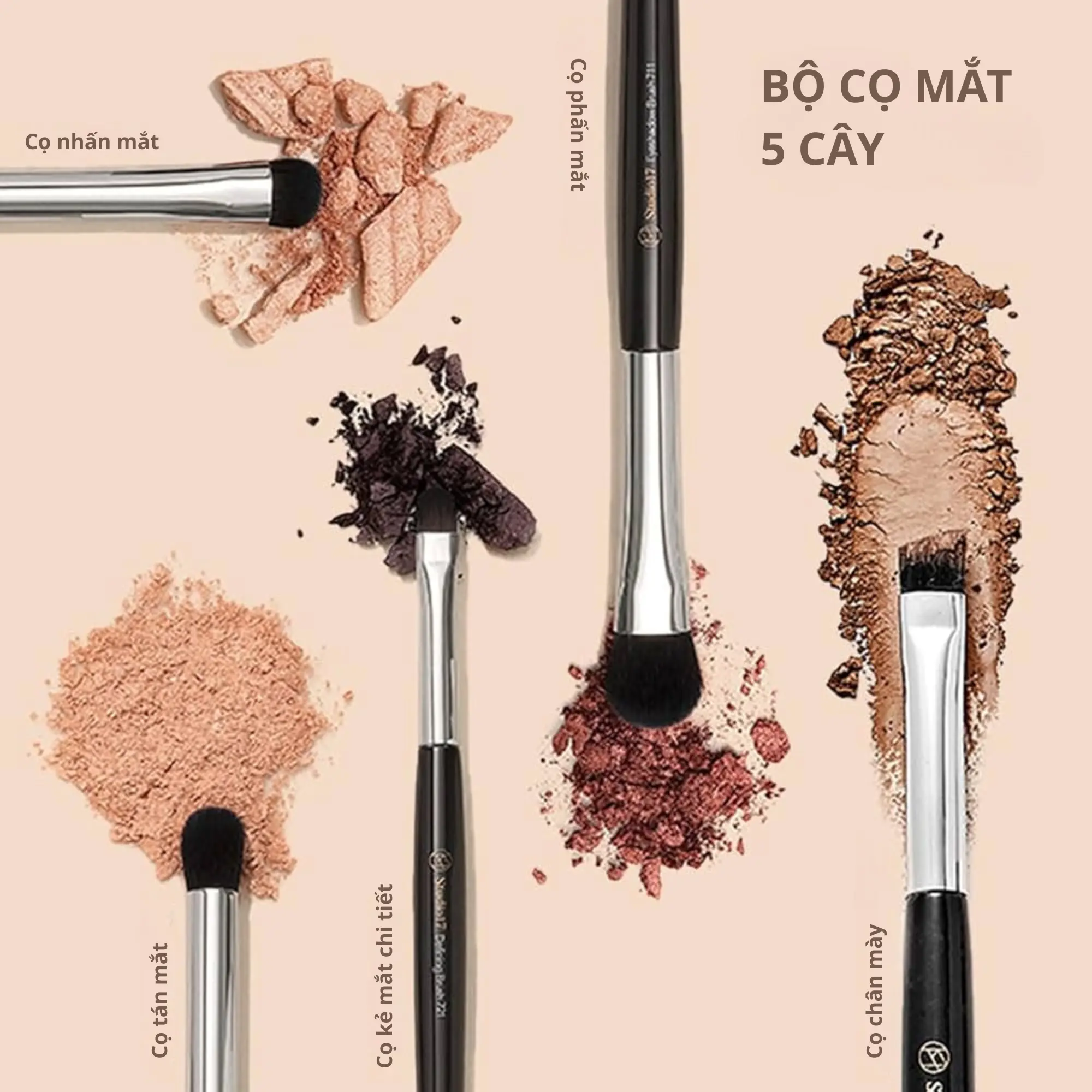 Studio17 bộ cọ mắt 5 cây