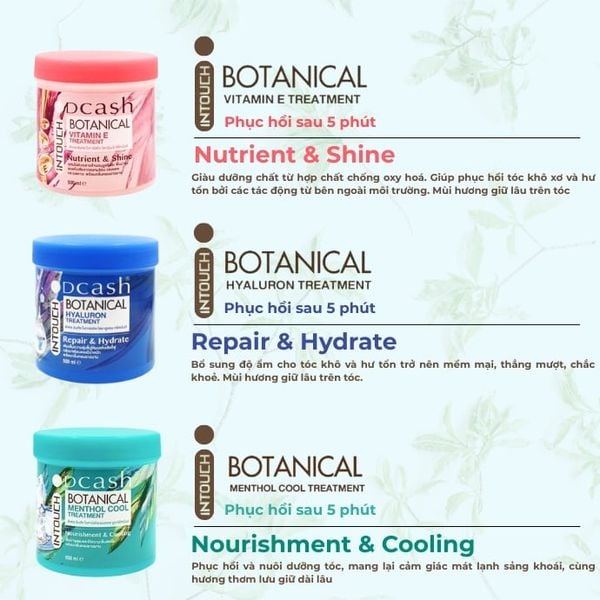 Kem Ủ Tóc Hấp Dầu Dcash Intouch Botanical Menthol Cool Treatment