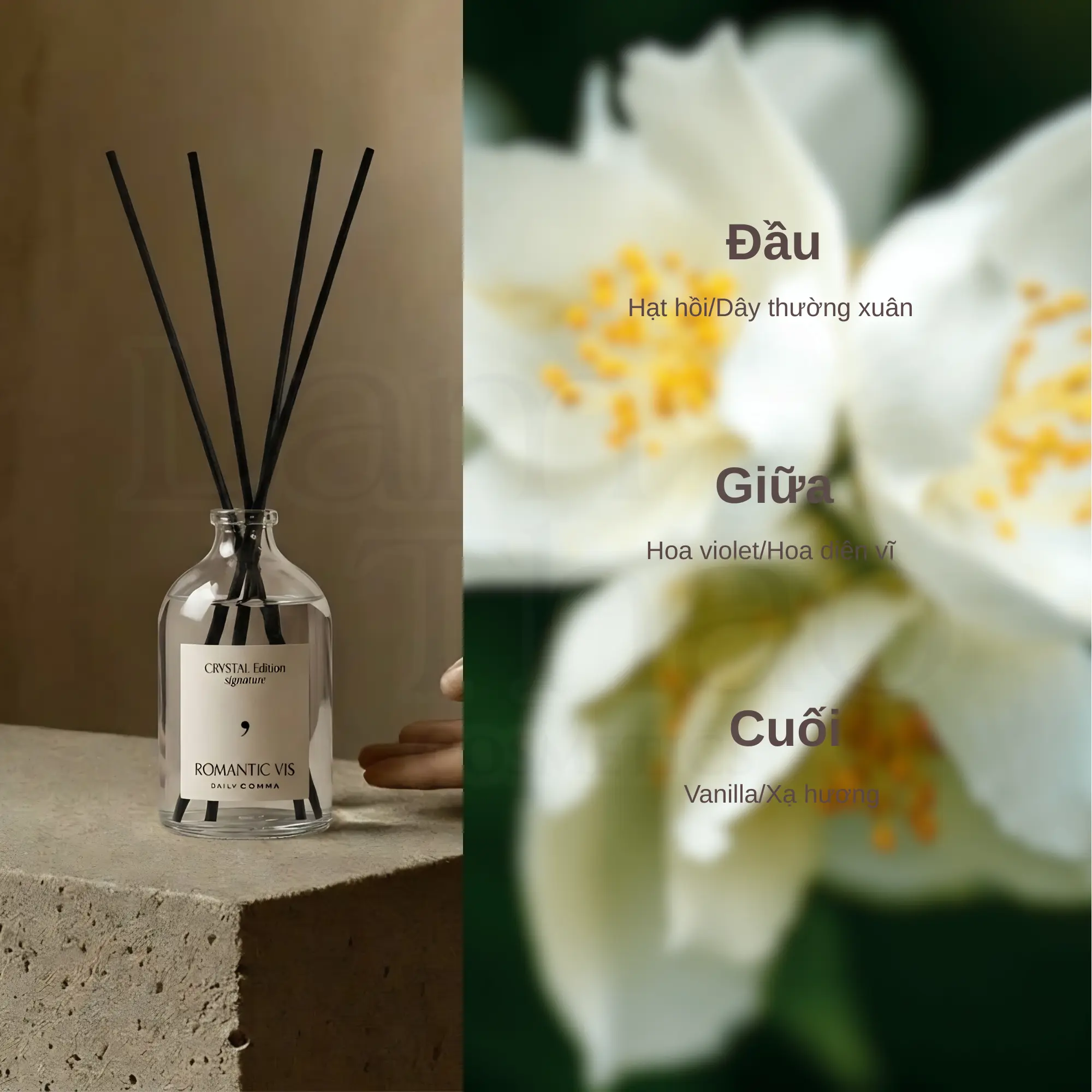 Chế Phẩm Thơm Phòng Daily Comma