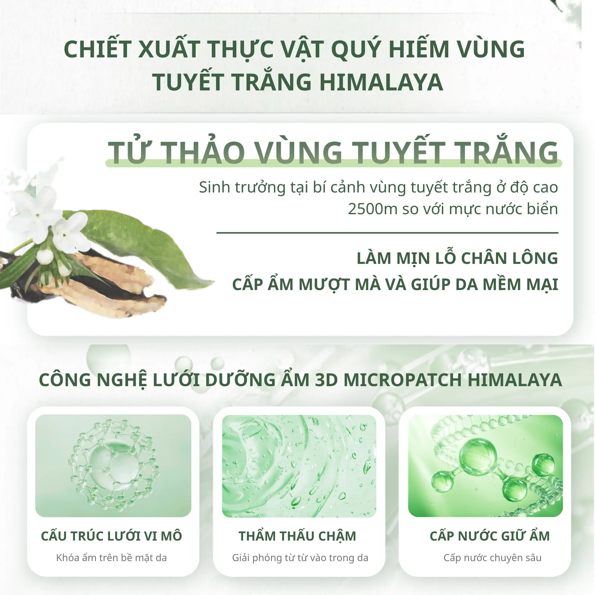 mặt nạ tử thảo Chando
