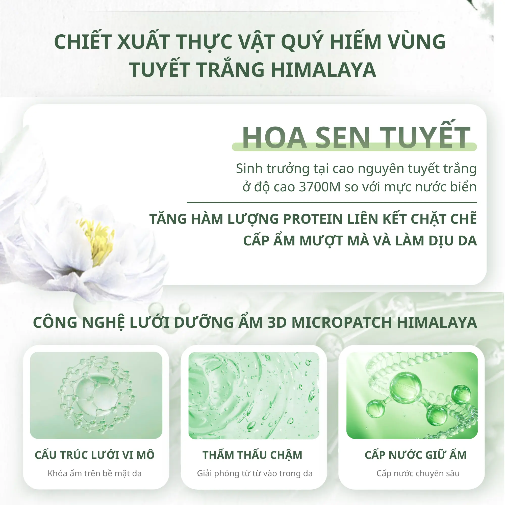 mặt nạ tuyết liên chando