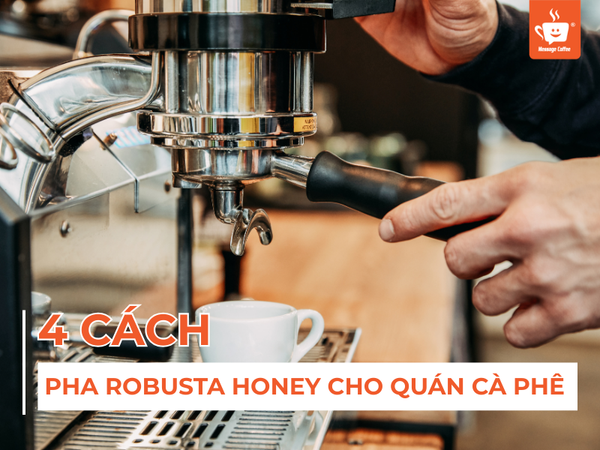 4 Cách Pha Robusta Honey Cho Quán Cà Phê - Ưu & Nhược Điểm Khi Dùng Robusta Honey Kinh Doanh Quán