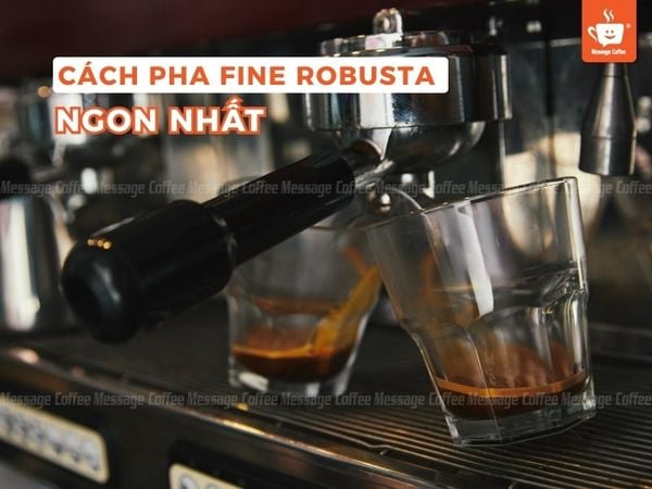 Cách pha Fine Robsuta ngon nhất với 4 phương pháp pha chế