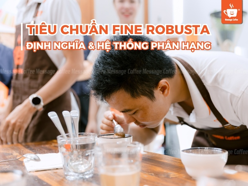 Tiêu chuẩn Fine Robusta, định nghĩa và hệ thống phân hạng
