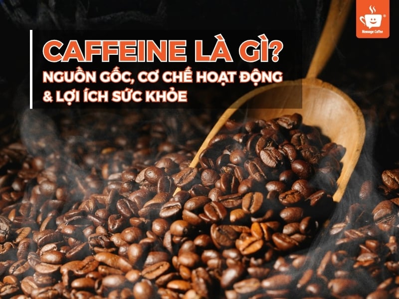 Caffeine là gì? Nguồn gốc, cơ chế hoạt động và lợi ích sức khỏe
